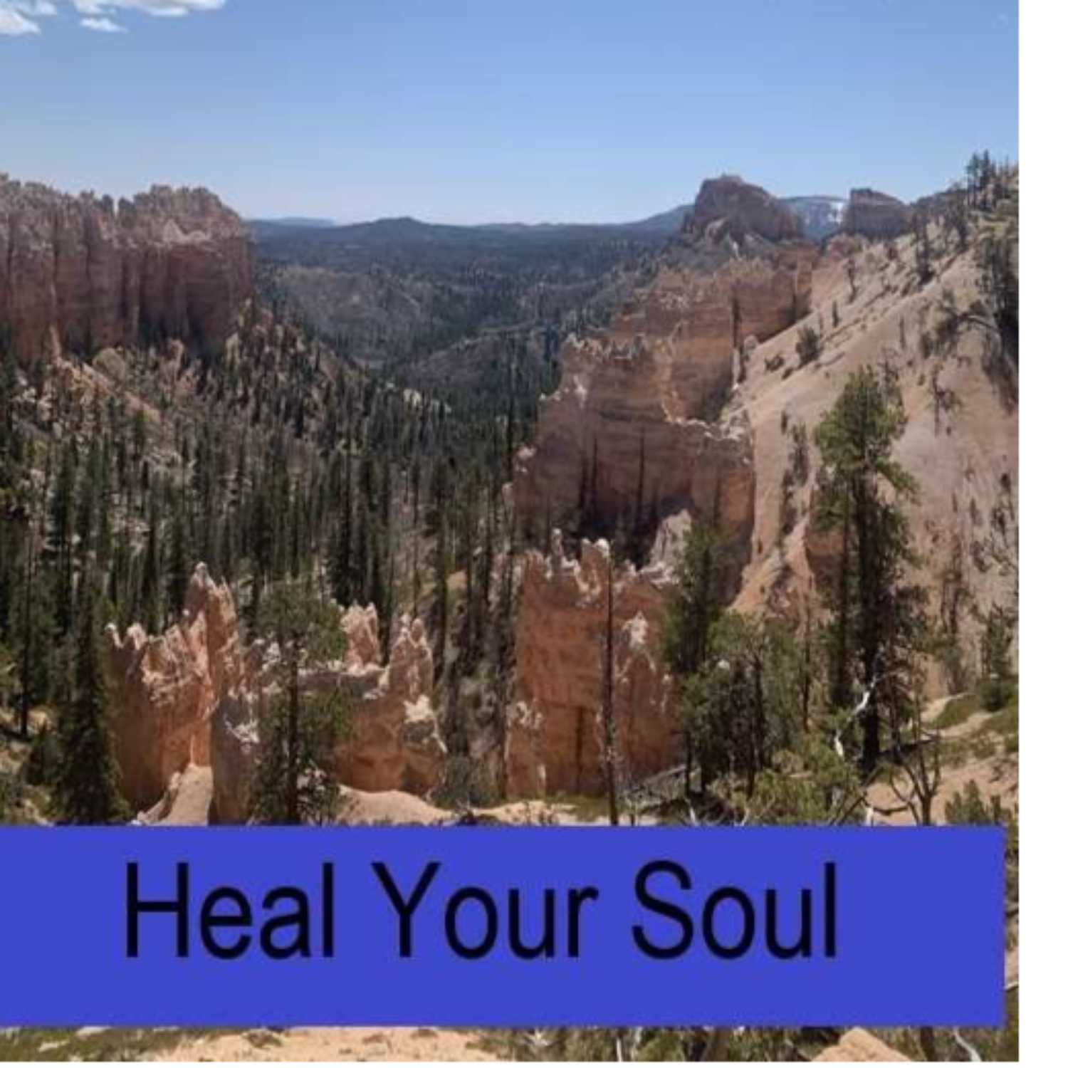 The Healing Soul LLC podcast with host Marybeth Rombach Nelson