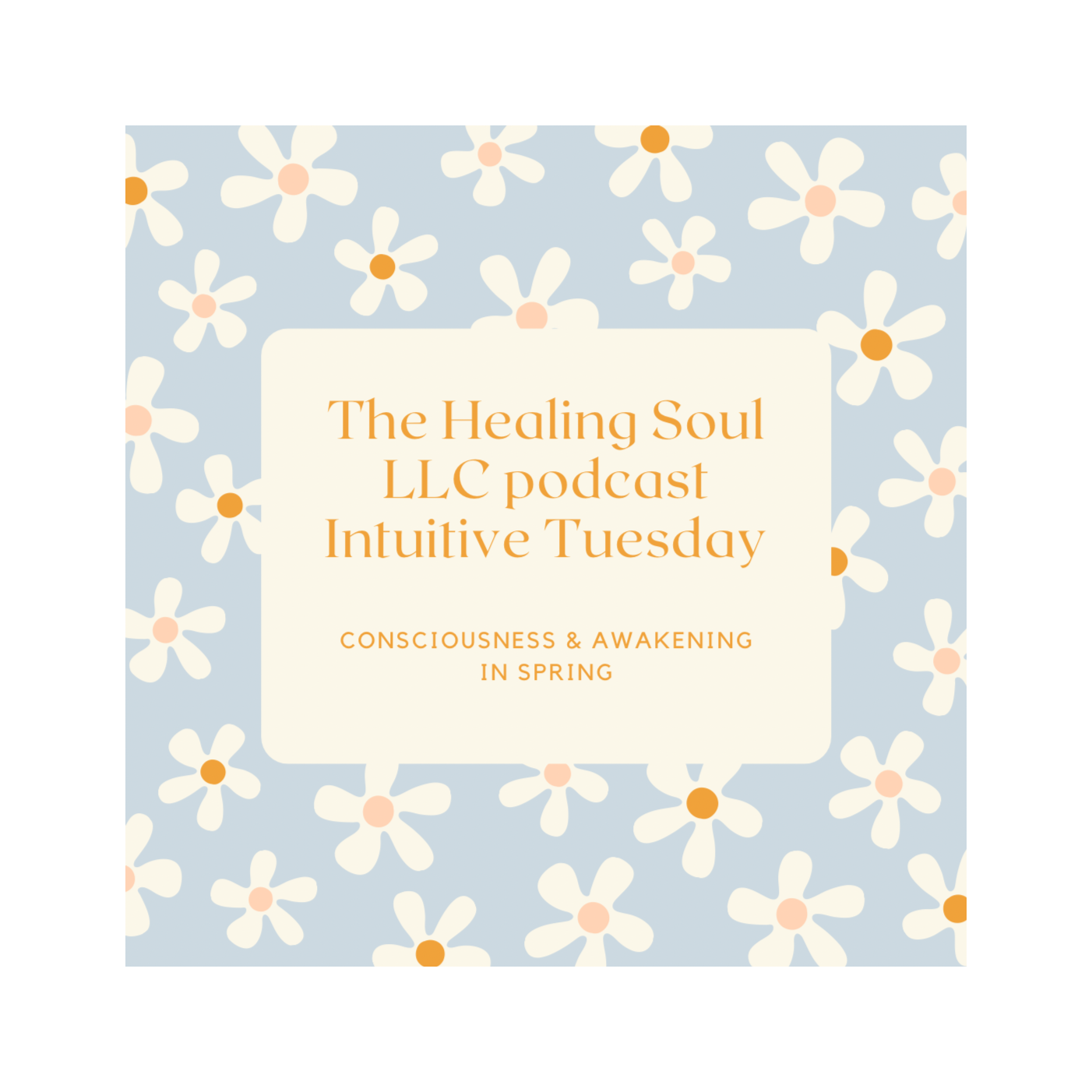 The Healing Soul LLC podcast with host Marybeth Rombach Nelson