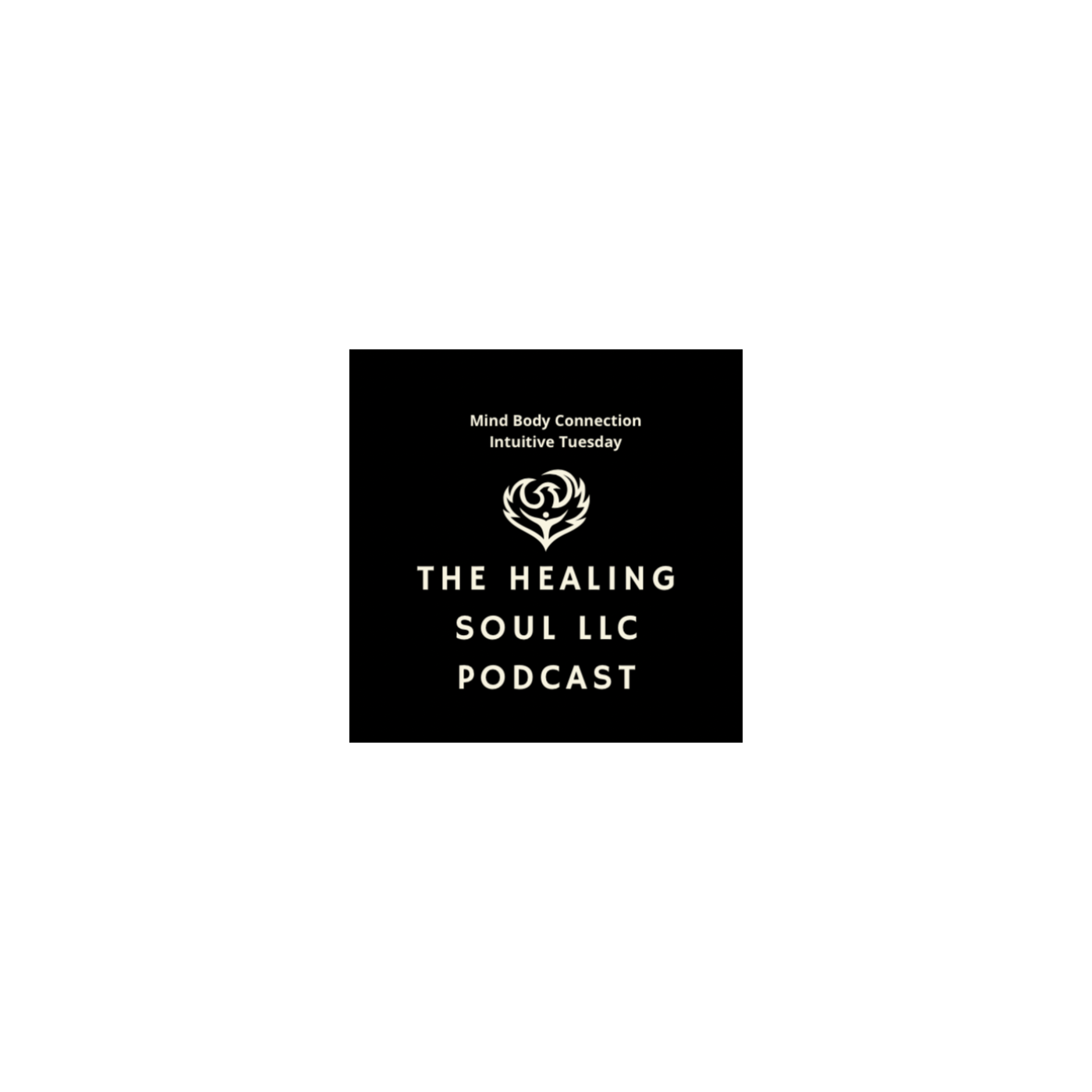 The Healing Soul LLC podcast with host Marybeth Rombach Nelson