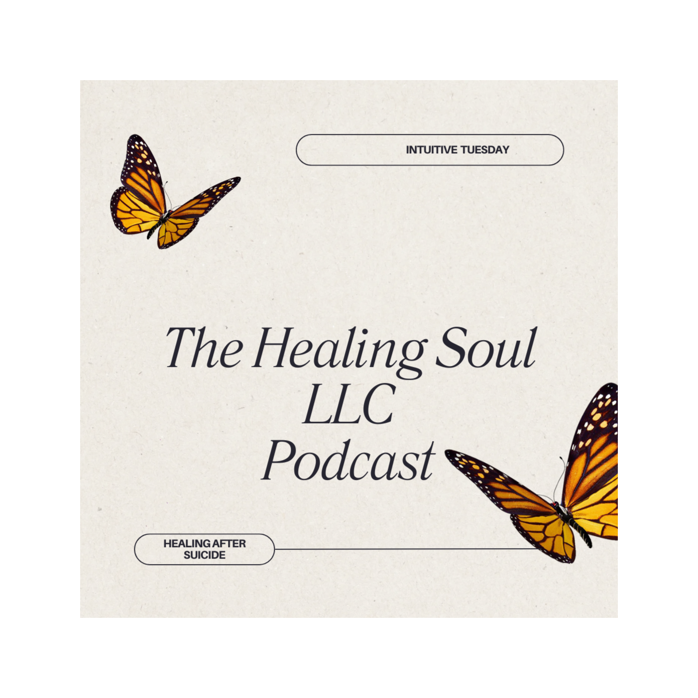 The Healing Soul LLC podcast with host Marybeth Rombach Nelson