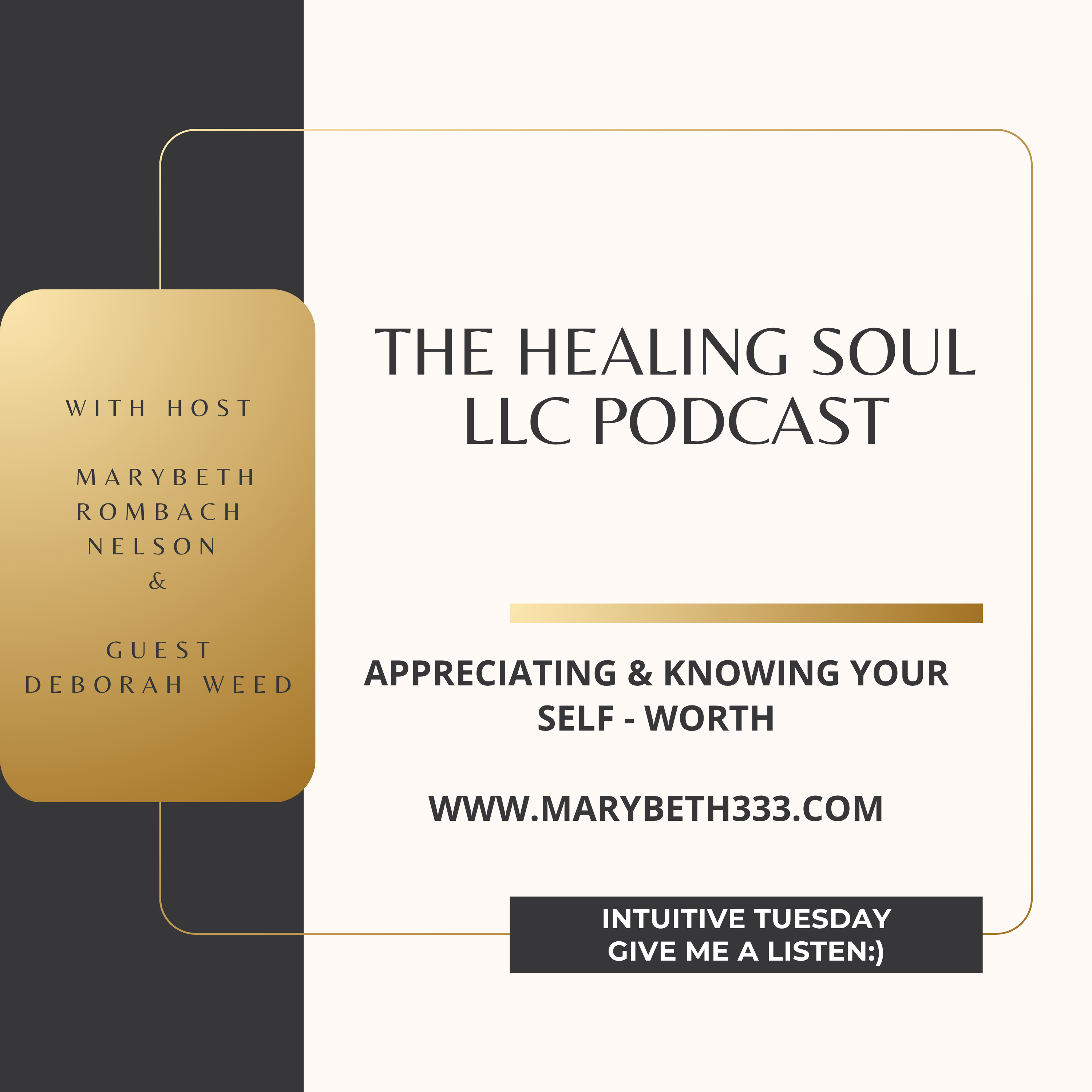 The Healing Soul LLC podcast with host Marybeth Rombach Nelson