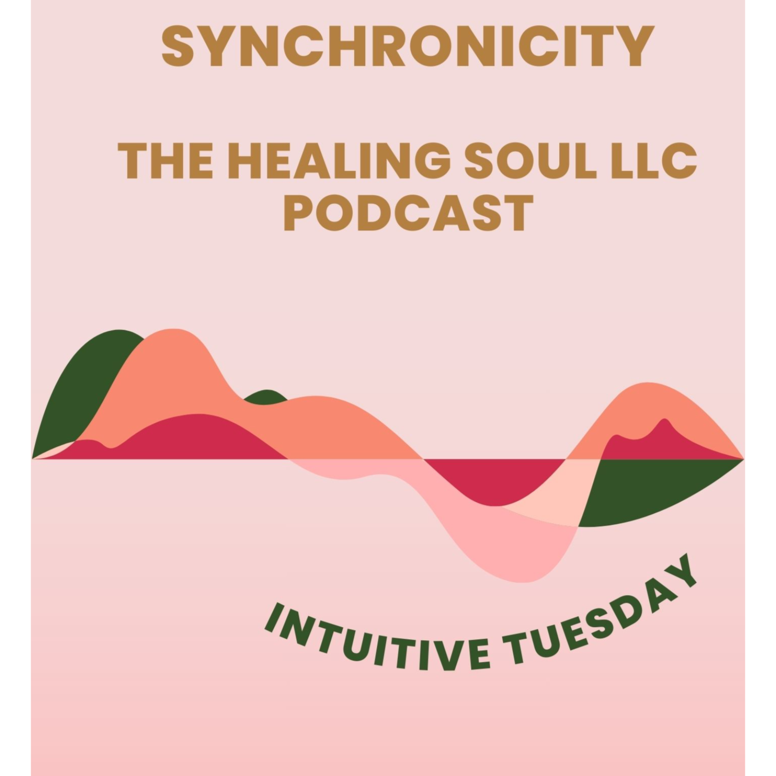 The Healing Soul LLC podcast with host Marybeth Rombach Nelson