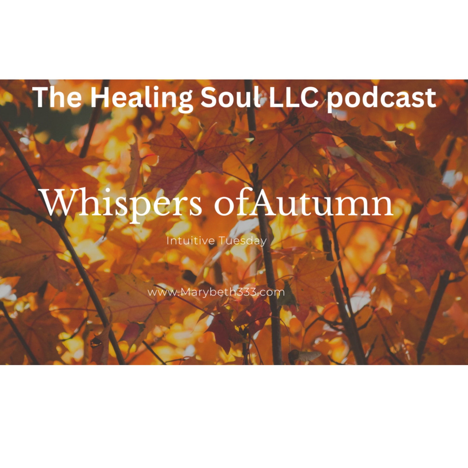 The Healing Soul LLC podcast with host Marybeth Rombach Nelson