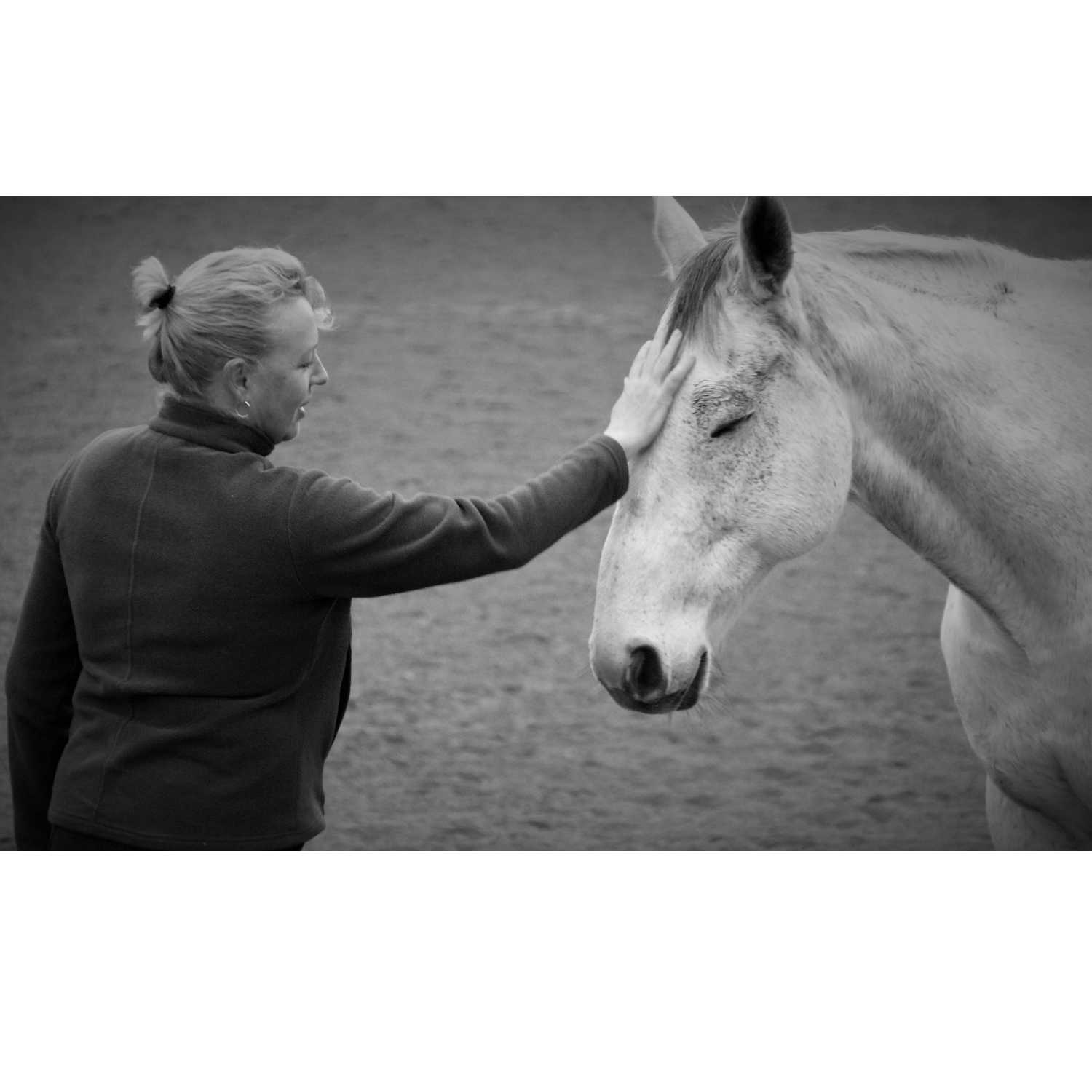 Sara Bagheri – Veterinary Surgeon