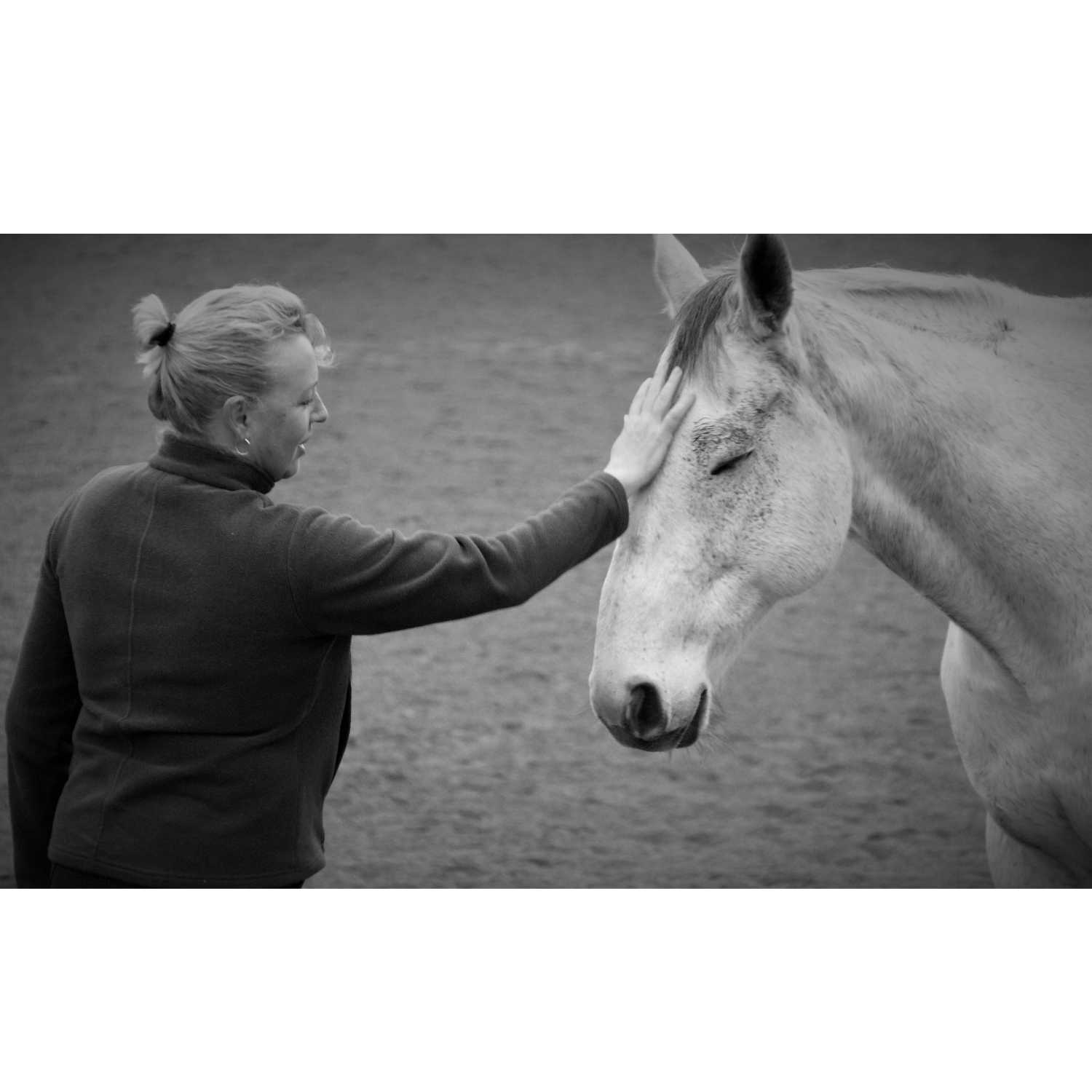 Mary Pascal – Adult Rider & Horse Owner