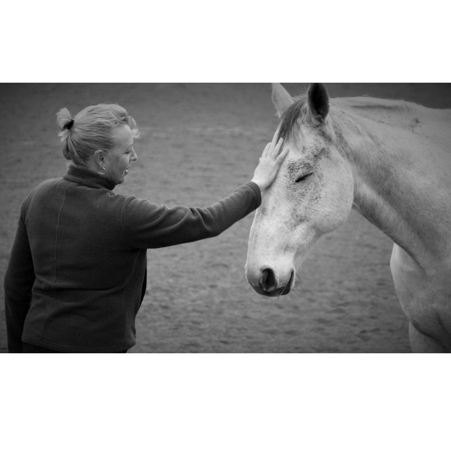 Sally Goldsmith – High School Equine Manager