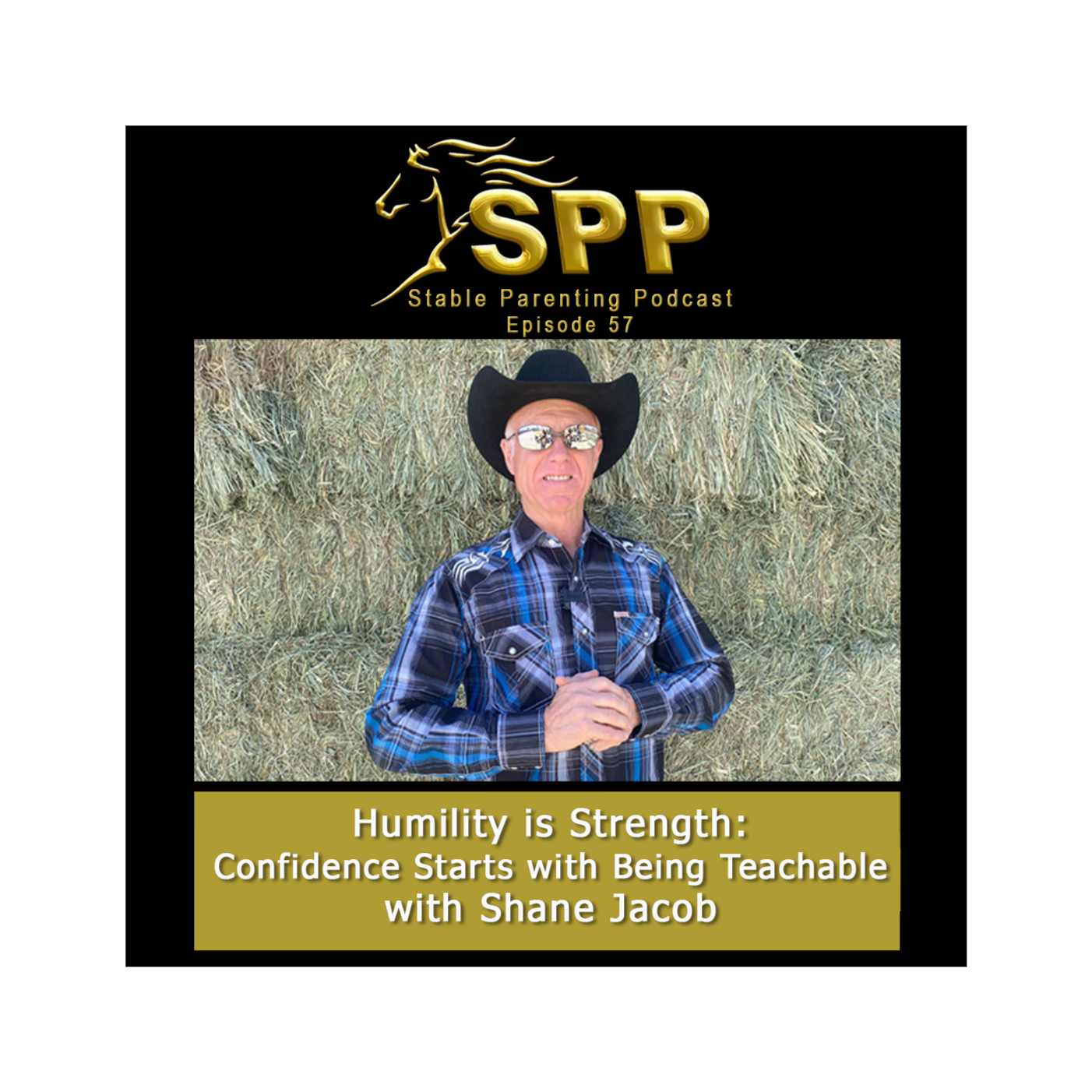 Stable Parenting Podcast