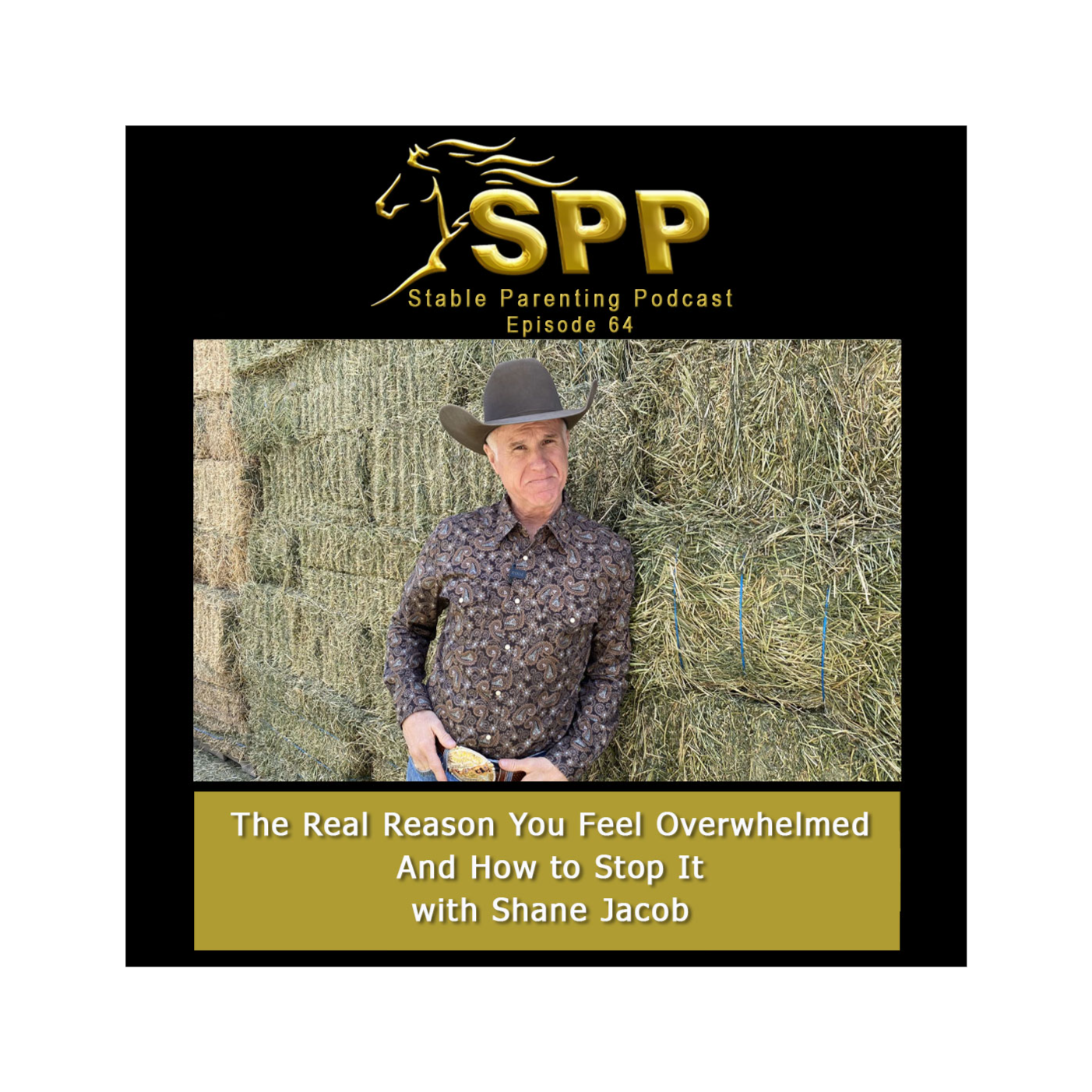 Stable Parenting Podcast