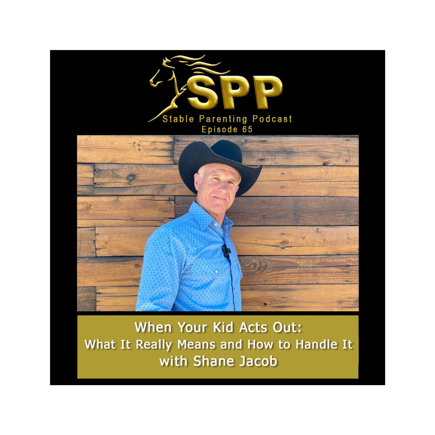 Stable Parenting Podcast