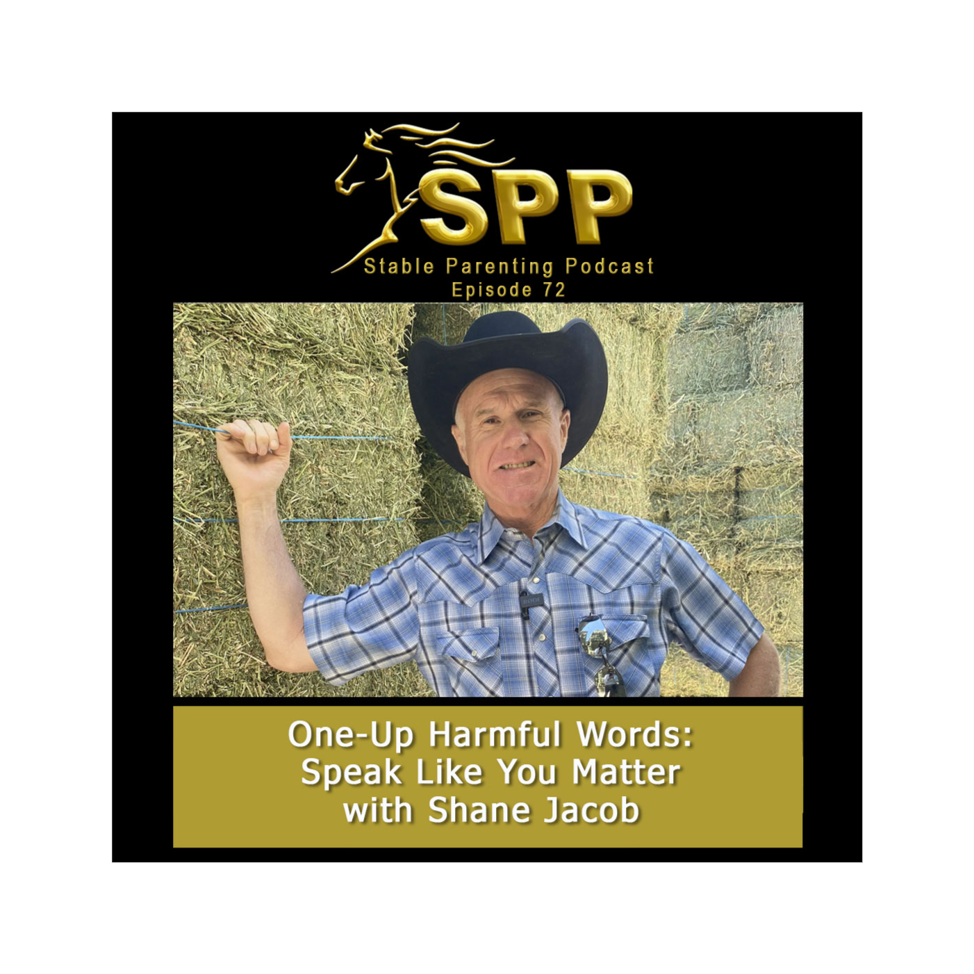 Stable Parenting Podcast