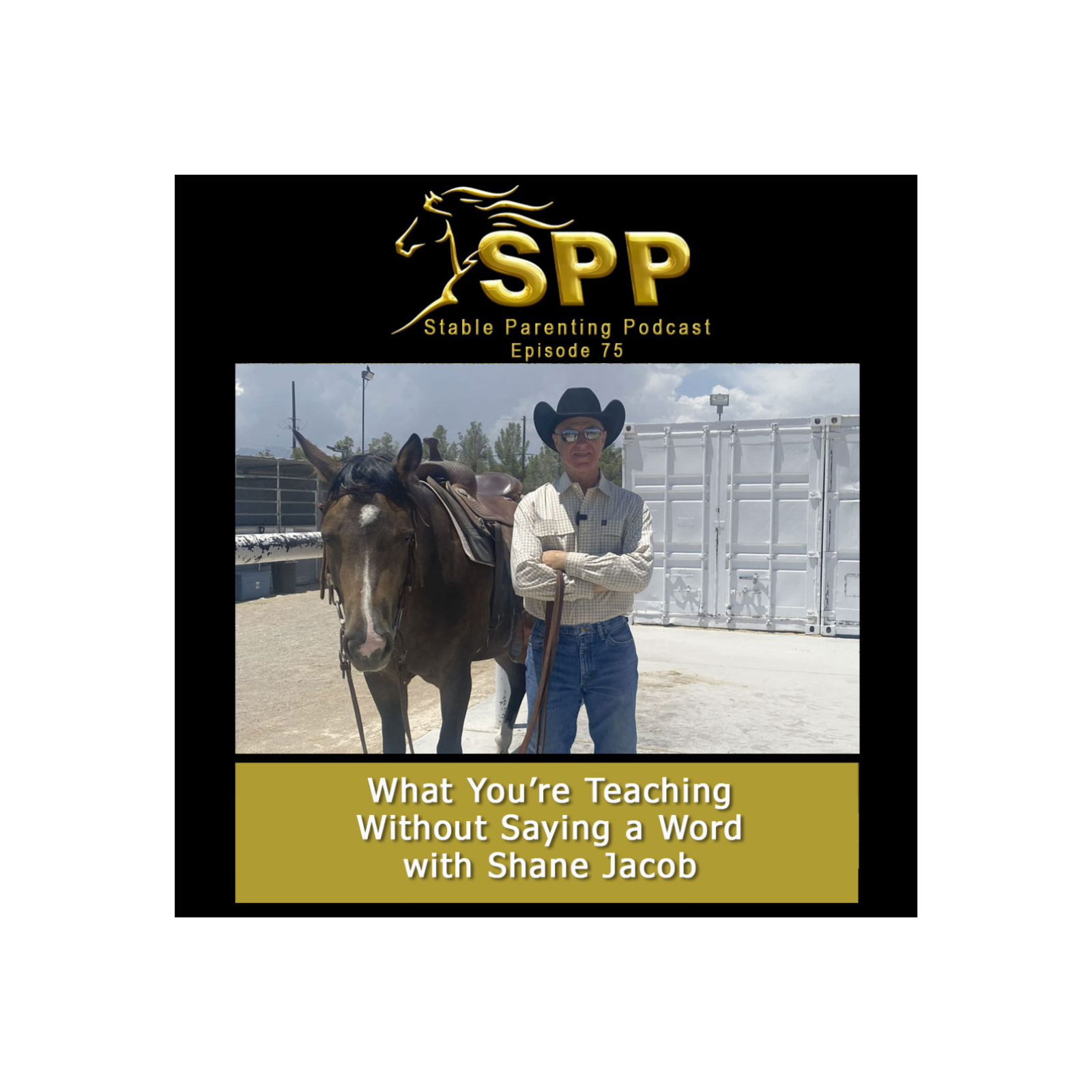 Stable Parenting Podcast