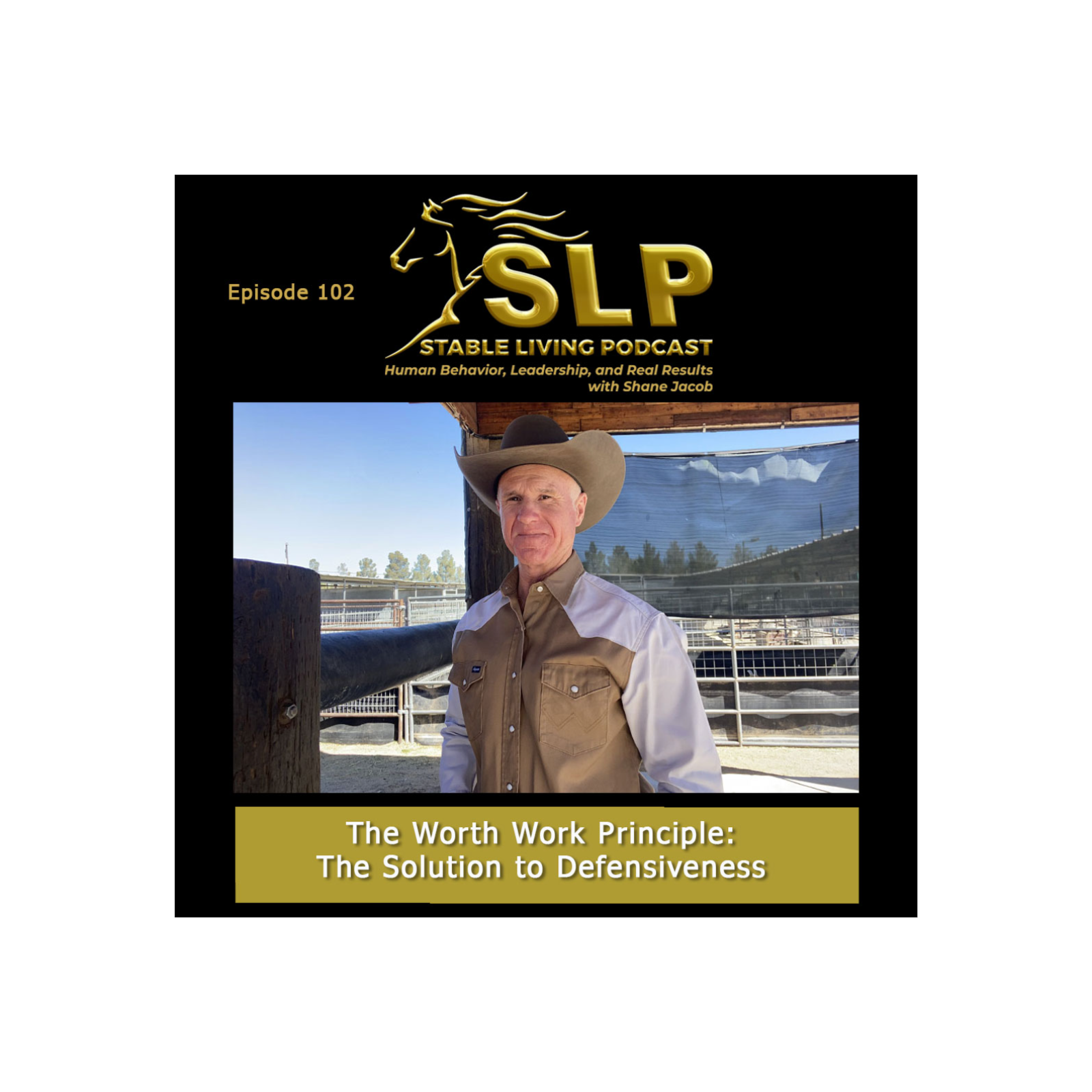 The Worth Work Principle: The Solution to Defensiveness