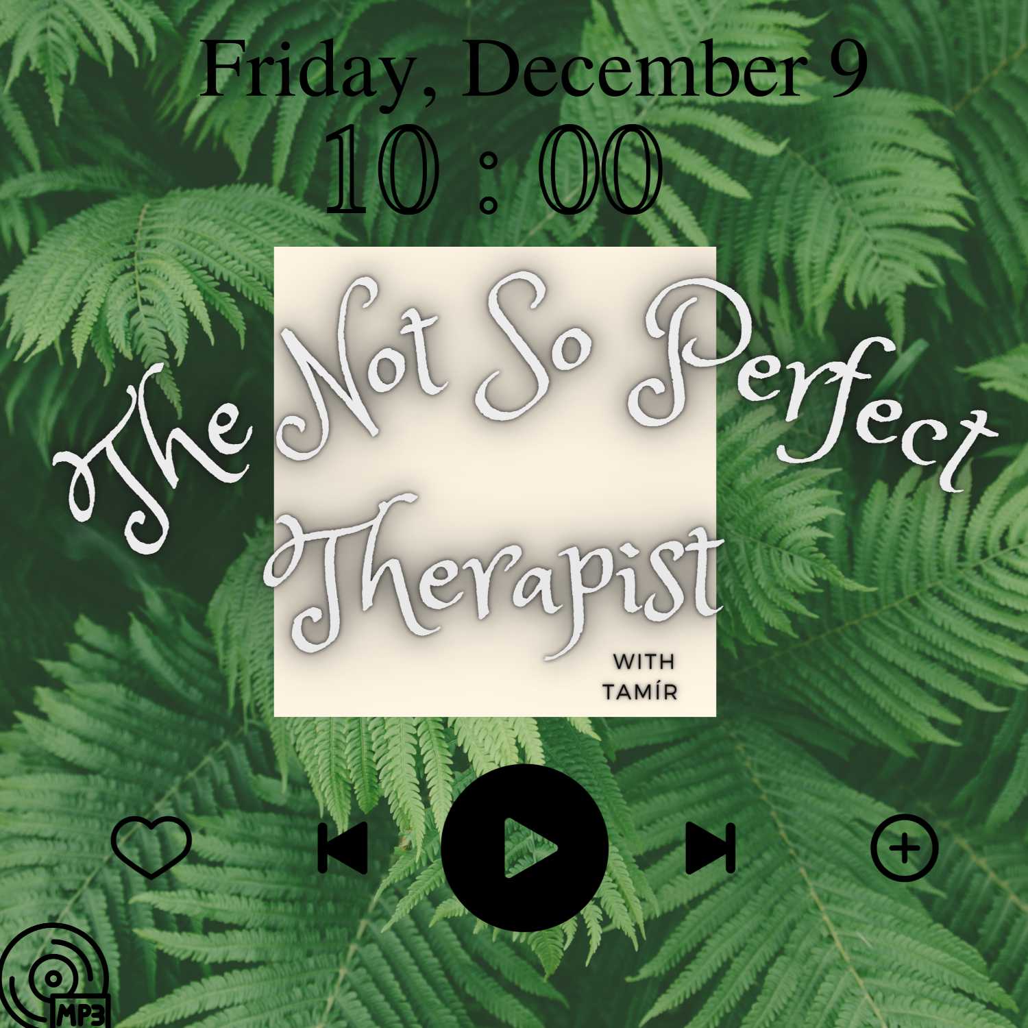 The Not So Perfect Therapist