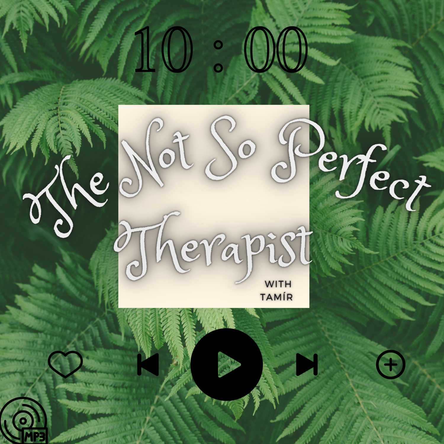 The Not So Perfect Therapist