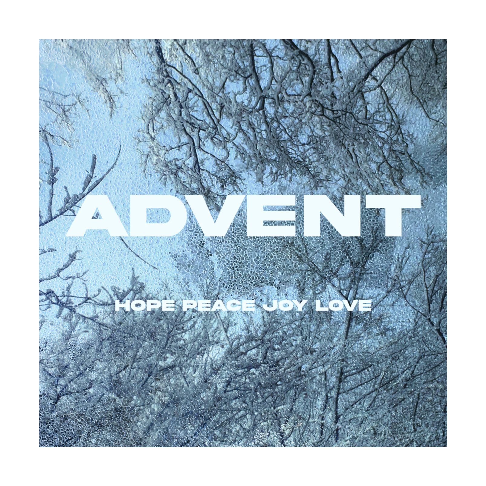 The House - a Local Church