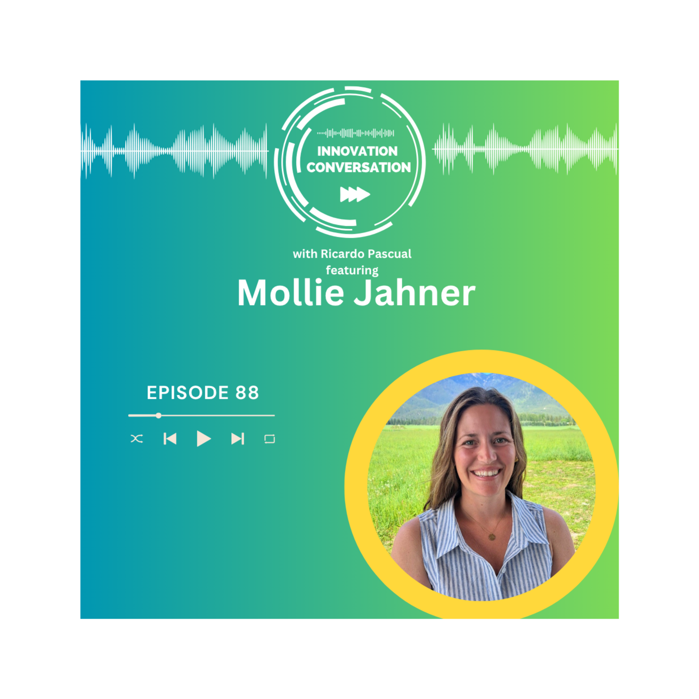 The Innovation Conversation