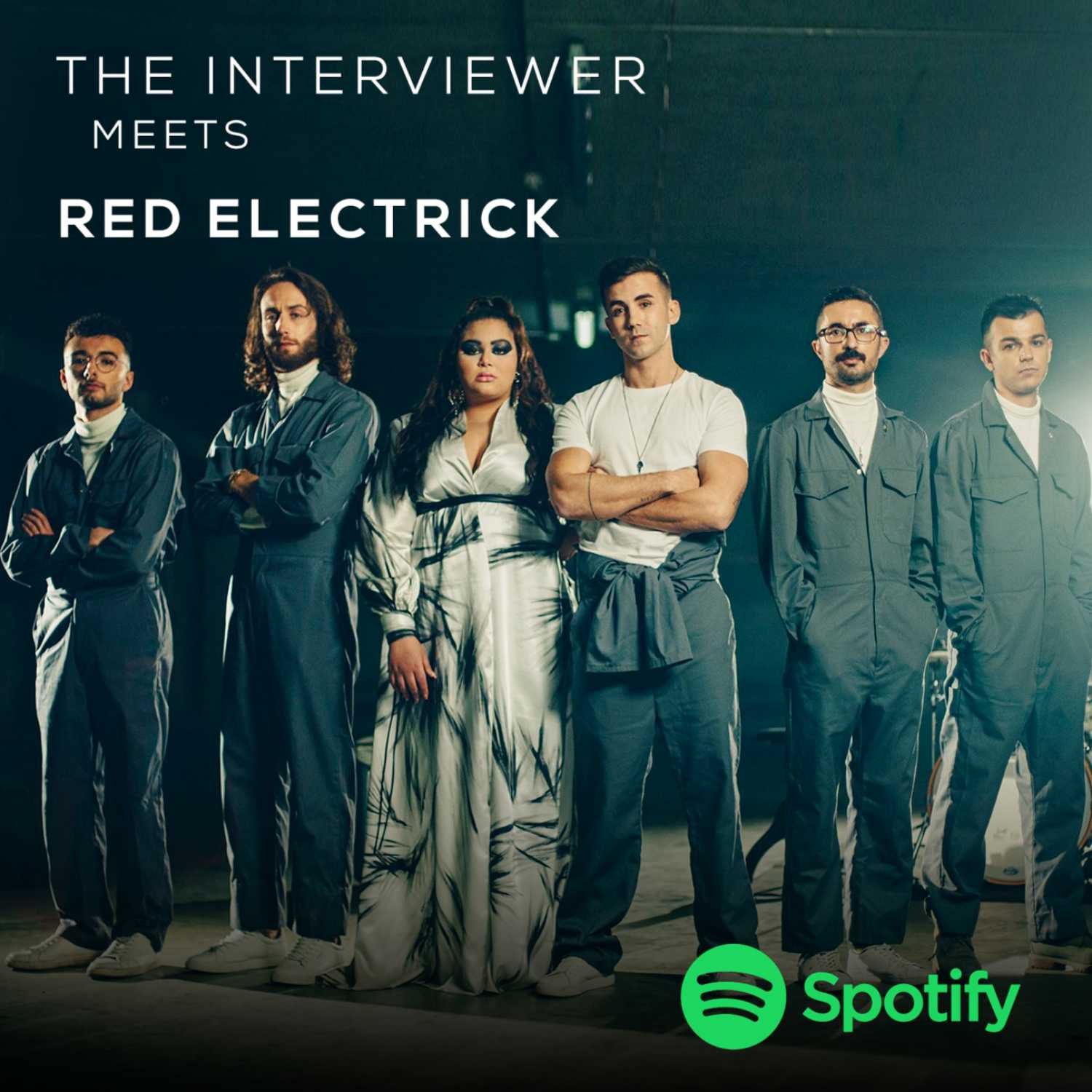 The Interviewer Meets Red Electrick