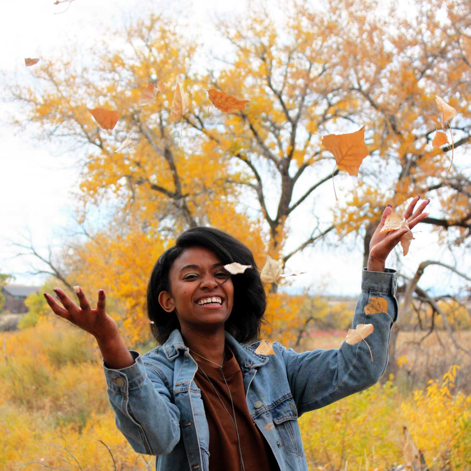 MY Journey MY Journey