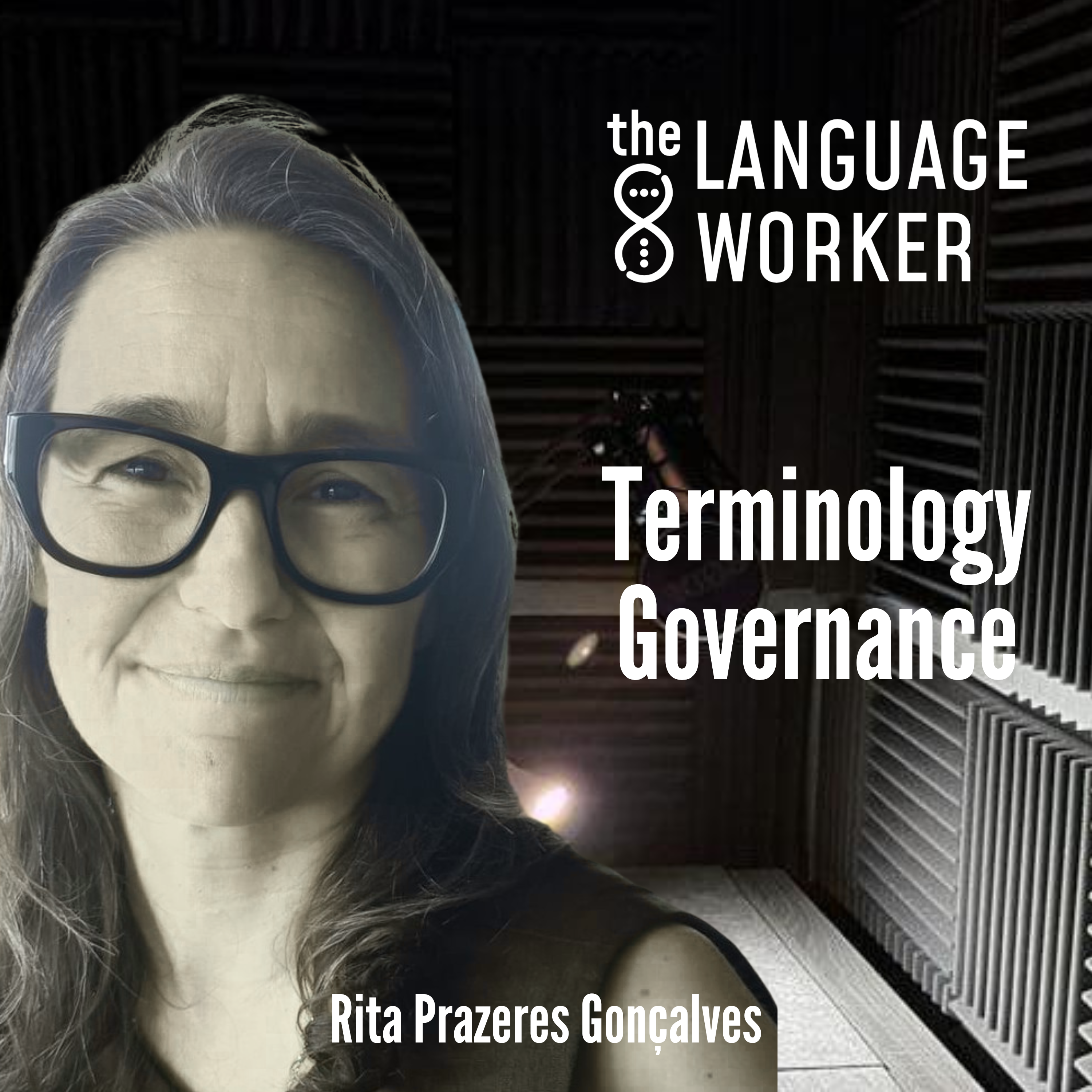 Terminology Governance: How to Turn Company Language into a Strategic Asset episode artwork