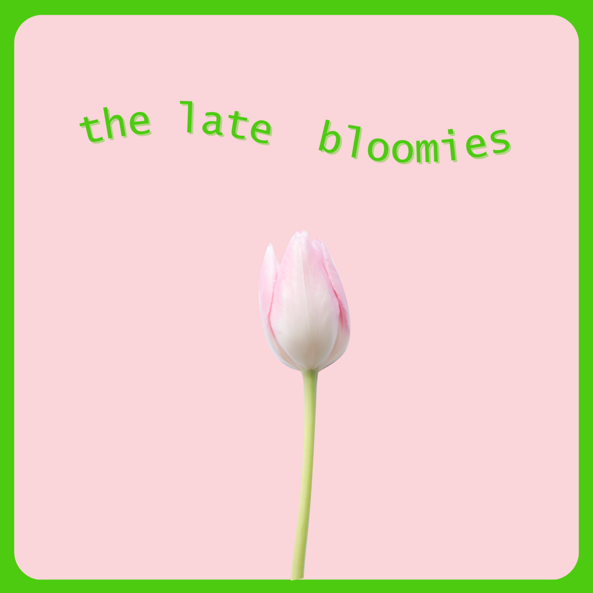 The Late Bloomies 