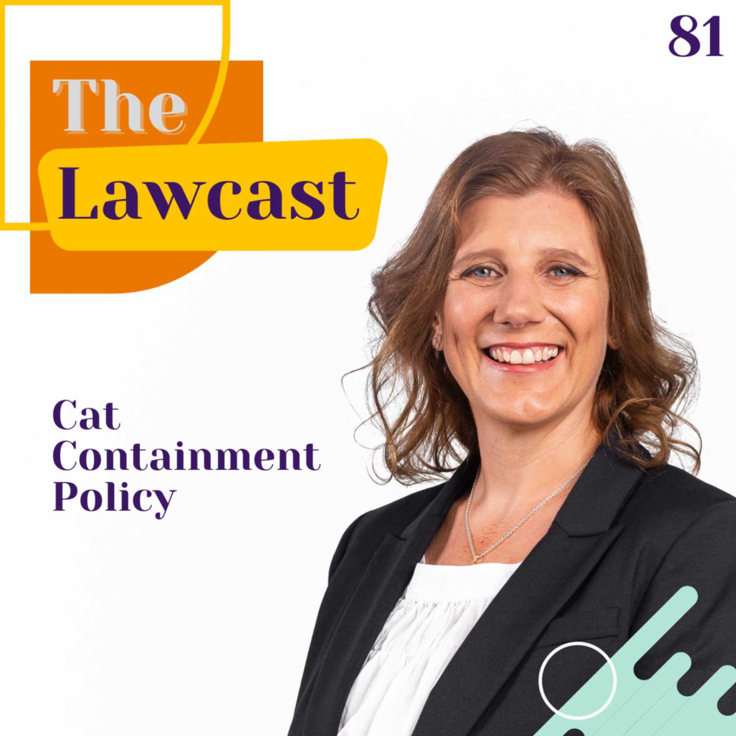 The Lawcast