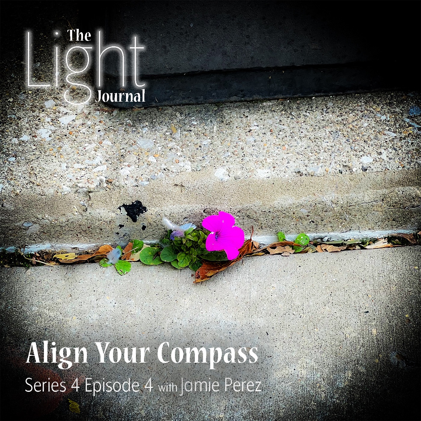 The Light Journal