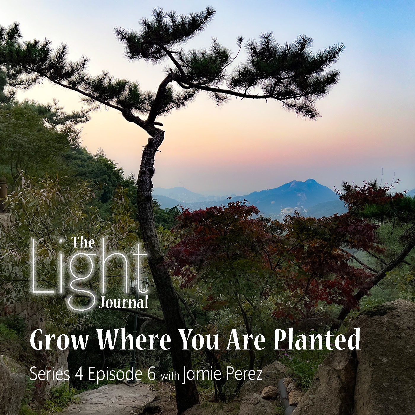 The Light Journal