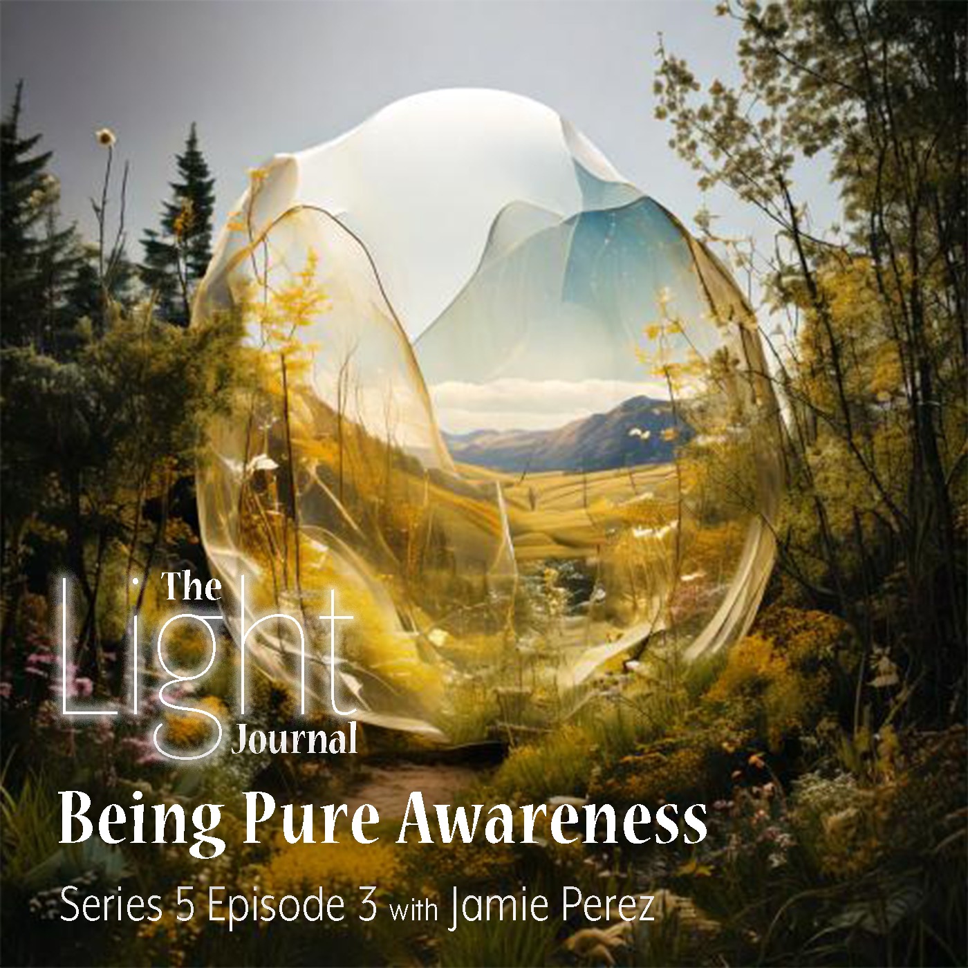 The Light Journal