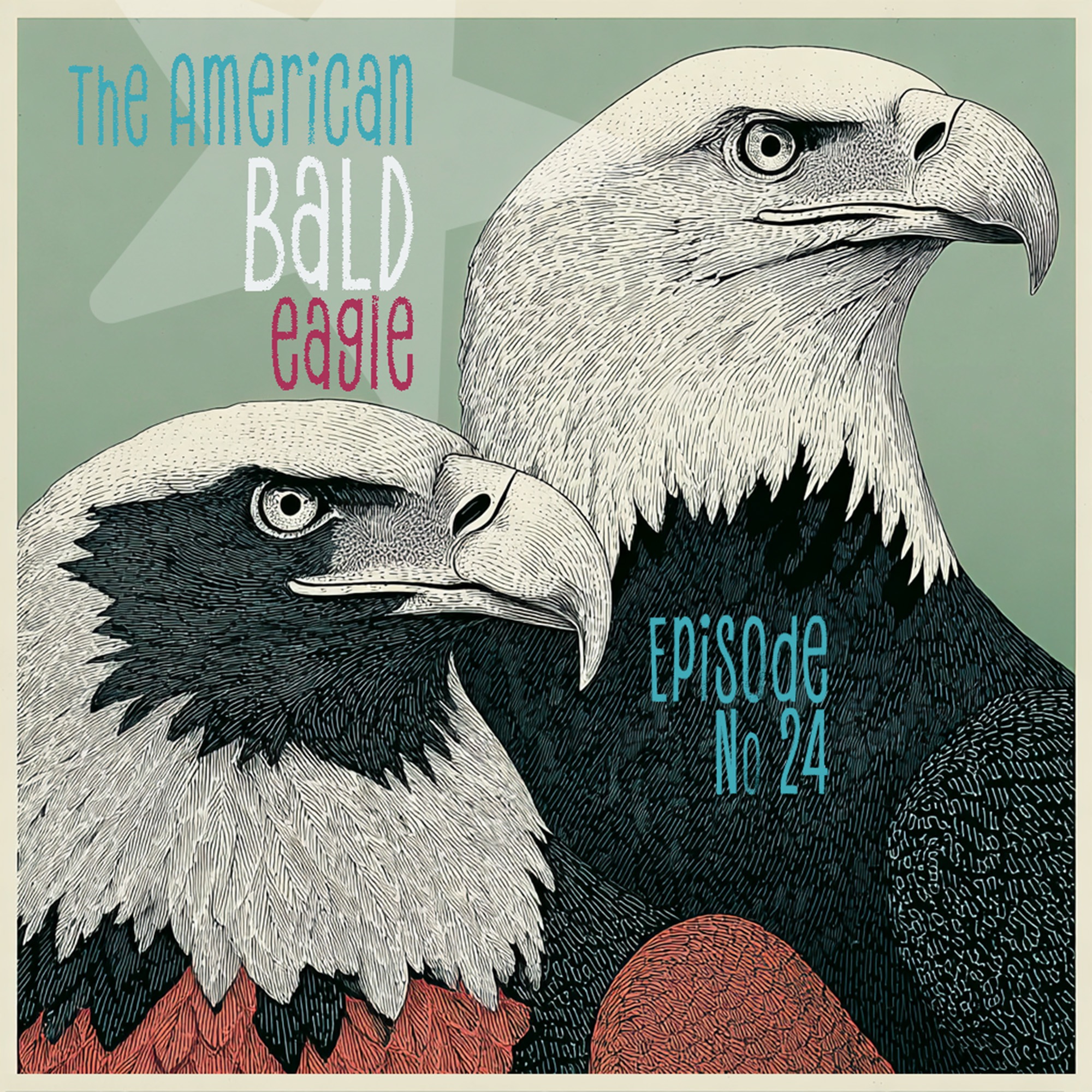 American Bald Eagles episode artwork