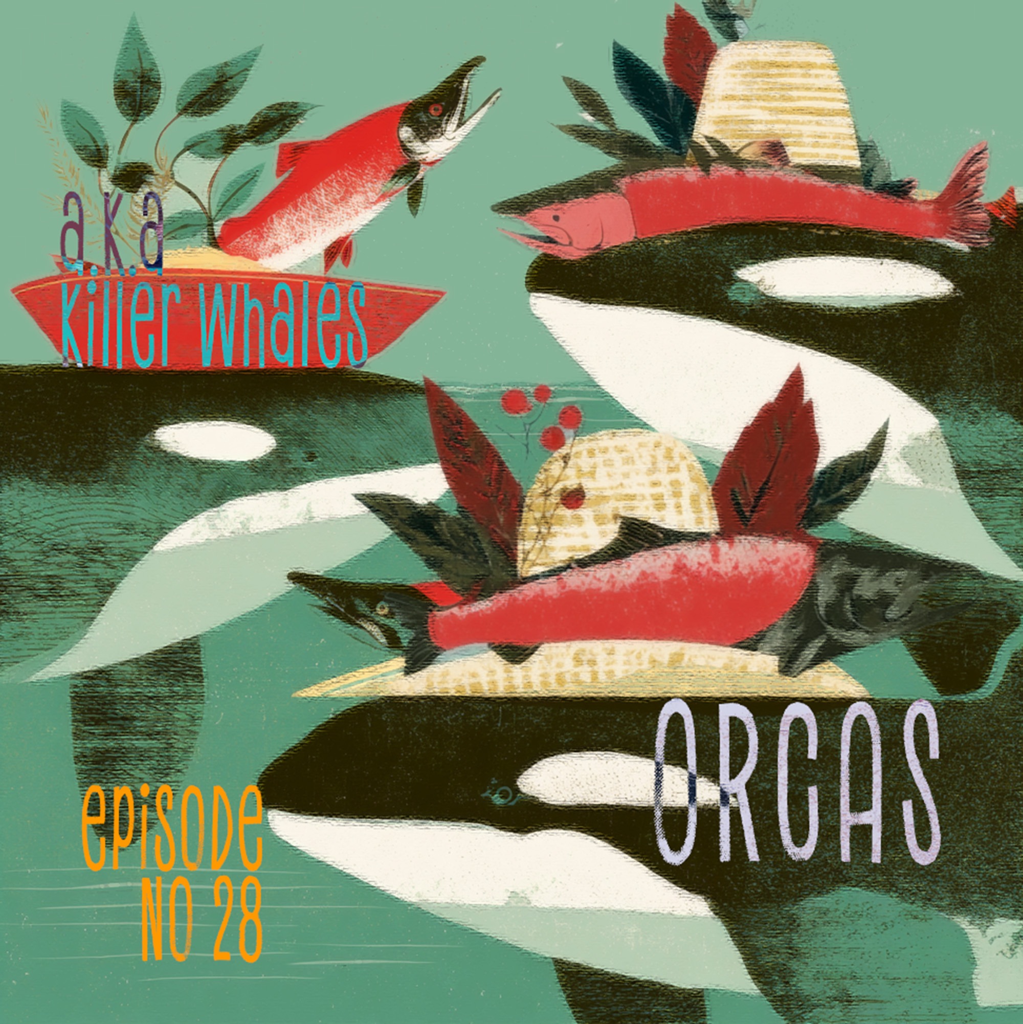 Orcas A.K.A. Killer Whales episode artwork