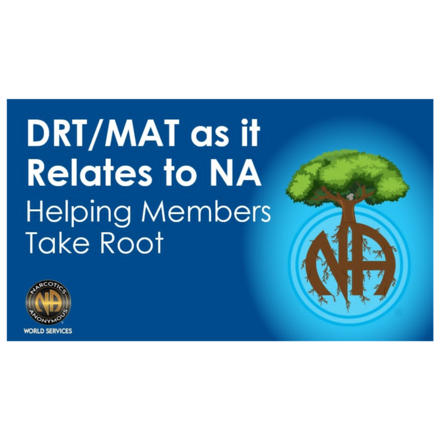 DRT/MAT as It Relates to NA: Helping Members Take Root