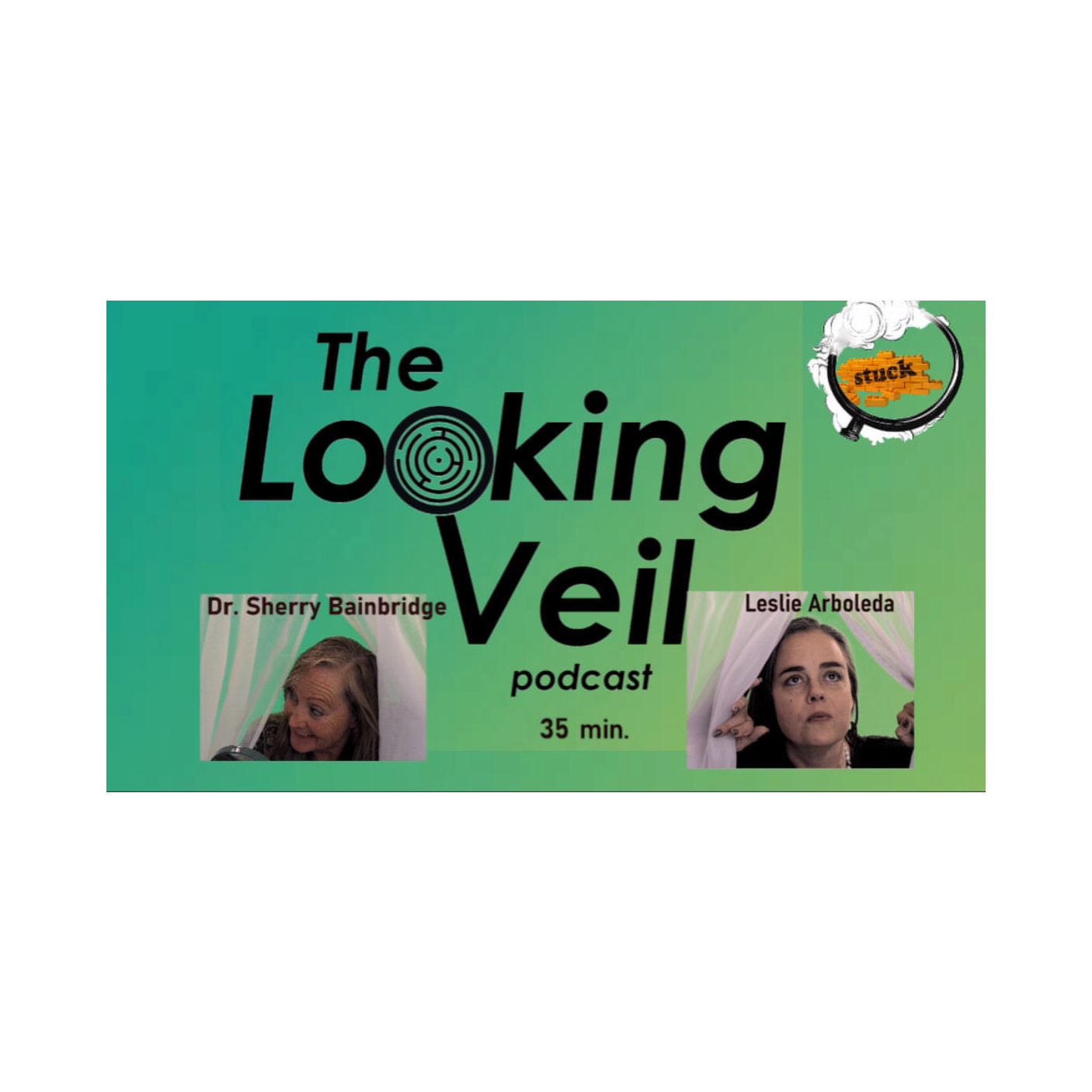 The Looking Veil