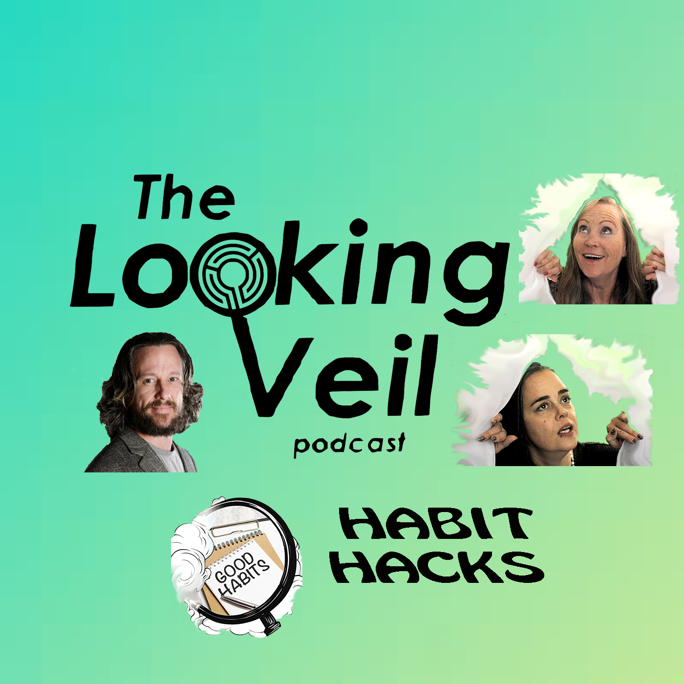 The Looking Veil