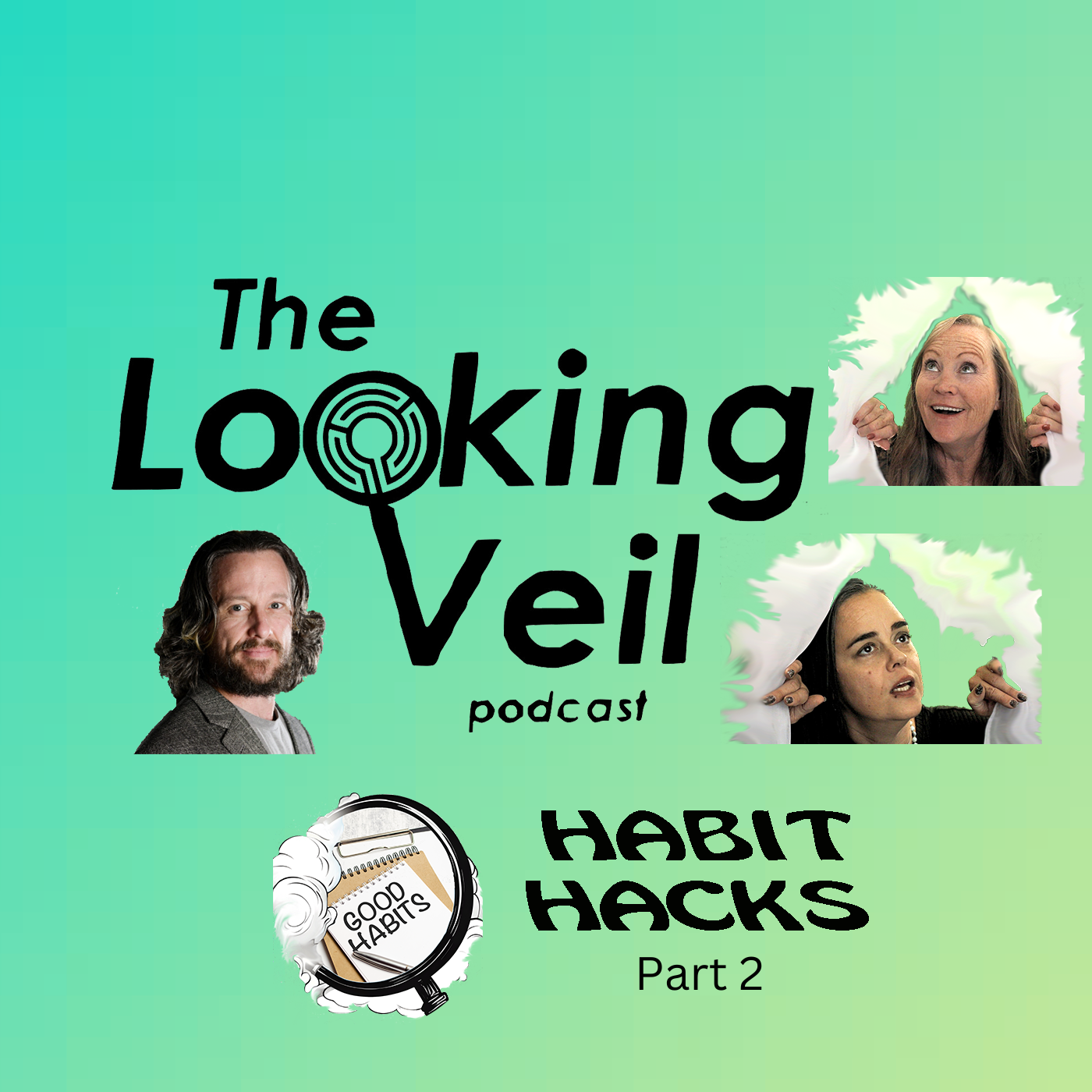 The Looking Veil