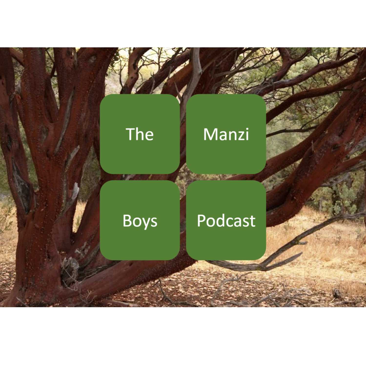 The Manzi Boys Podcast