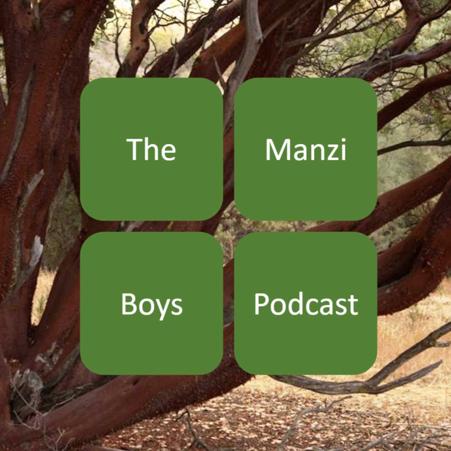 The Manzi Boys Podcast