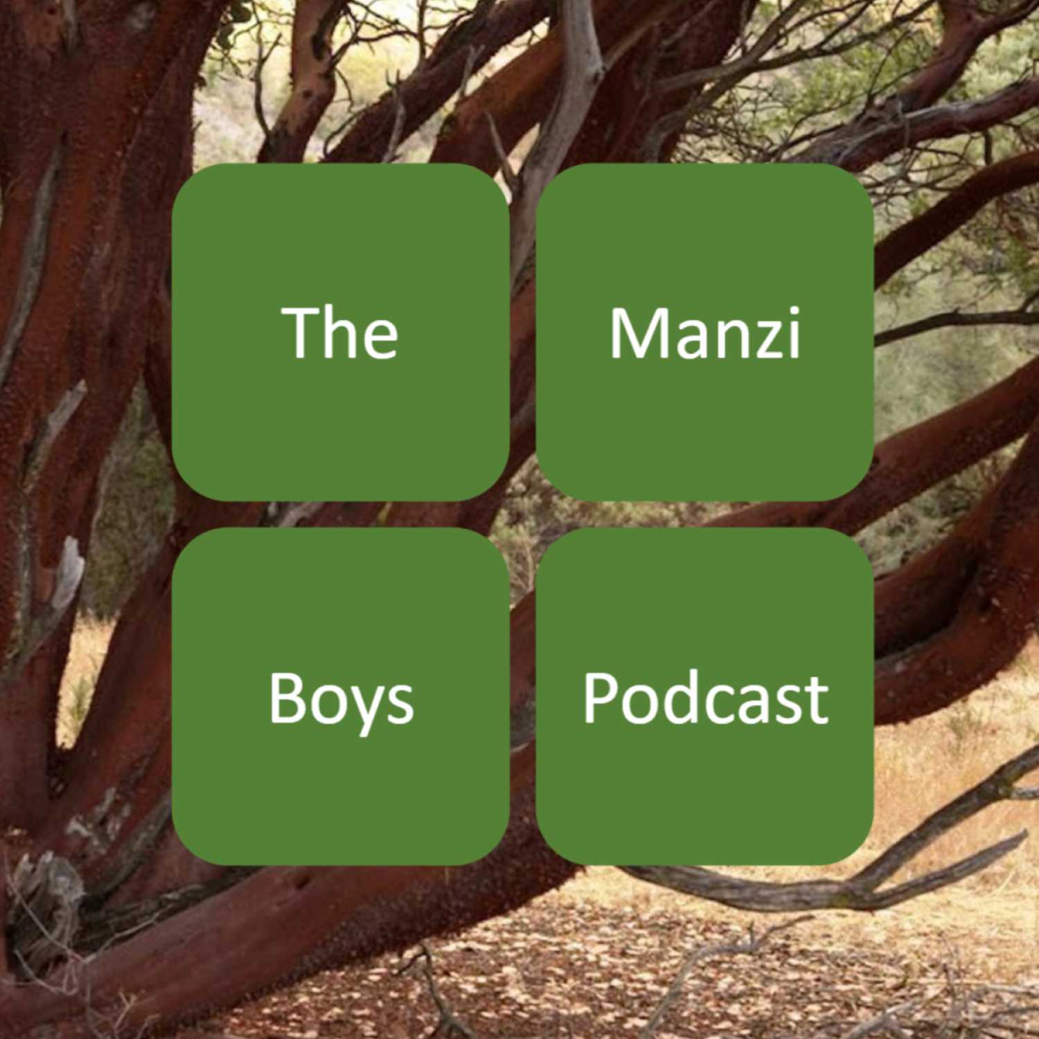 The Manzi Boys Podcast