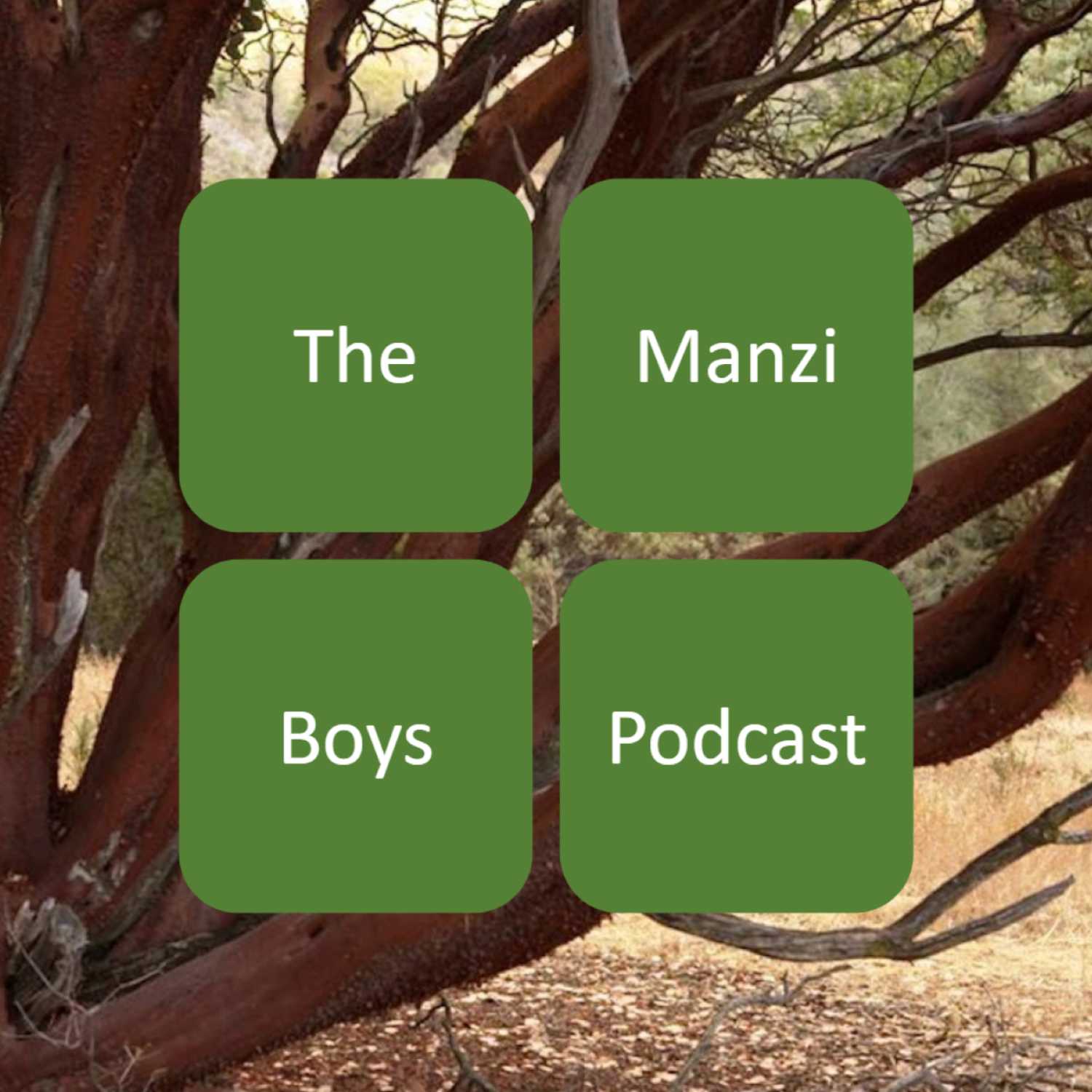 The Manzi Boys Podcast