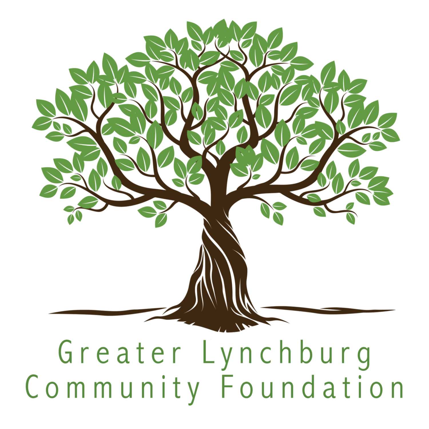 Share Greater Lynchburg Interview with Birth in Color LYH