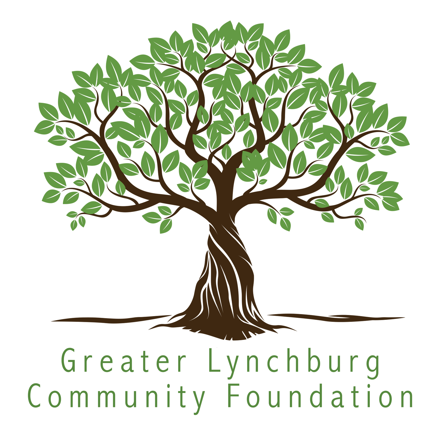 SHARE Greater Lynchburg Interview with LAYSi 