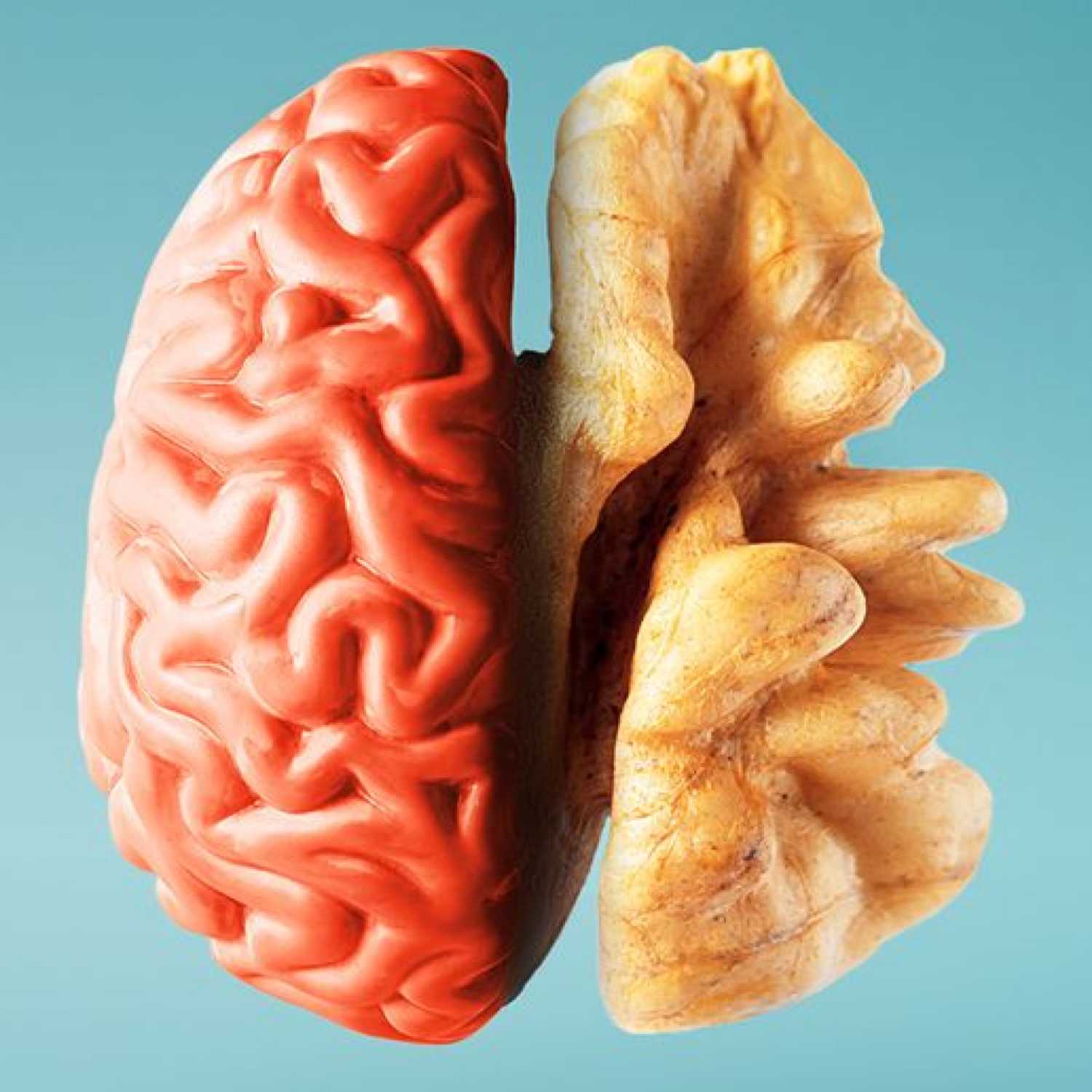 The Mind Menu
