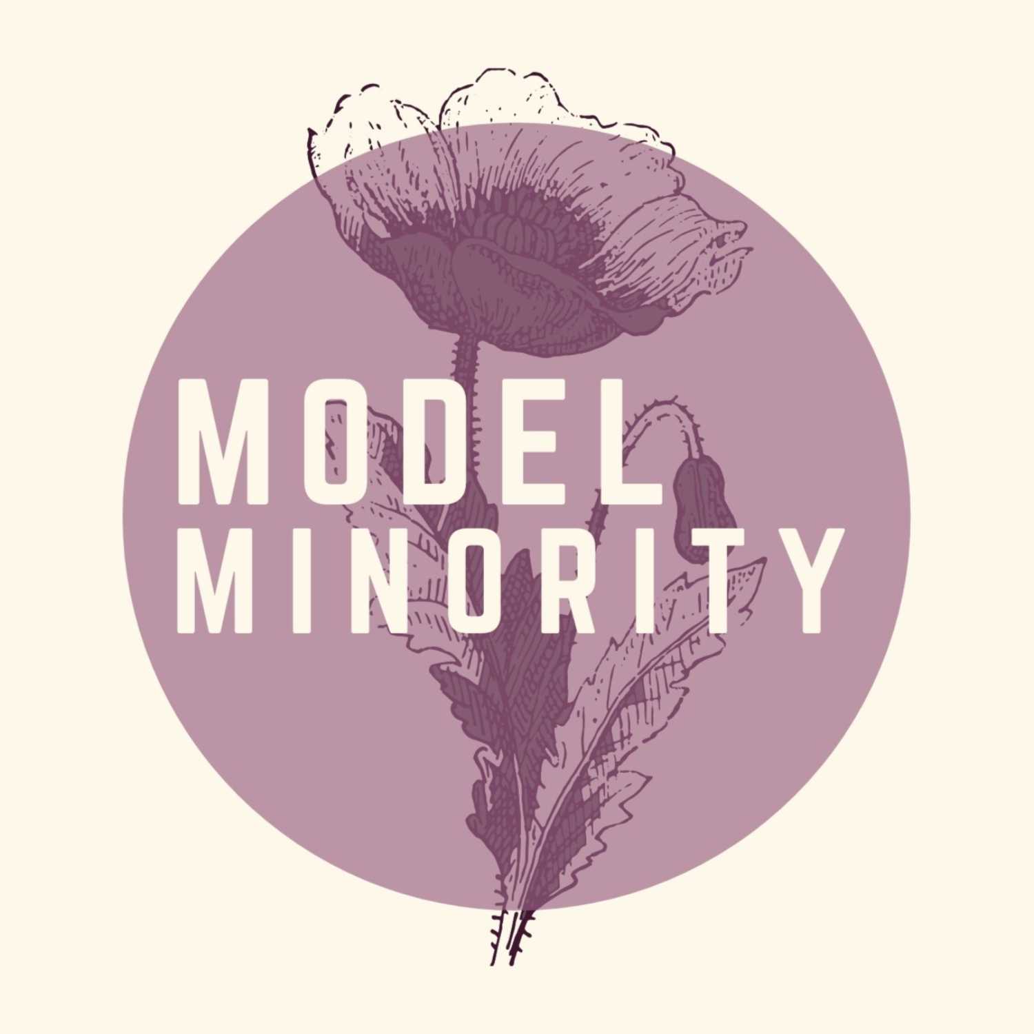 The Model Minority cover art