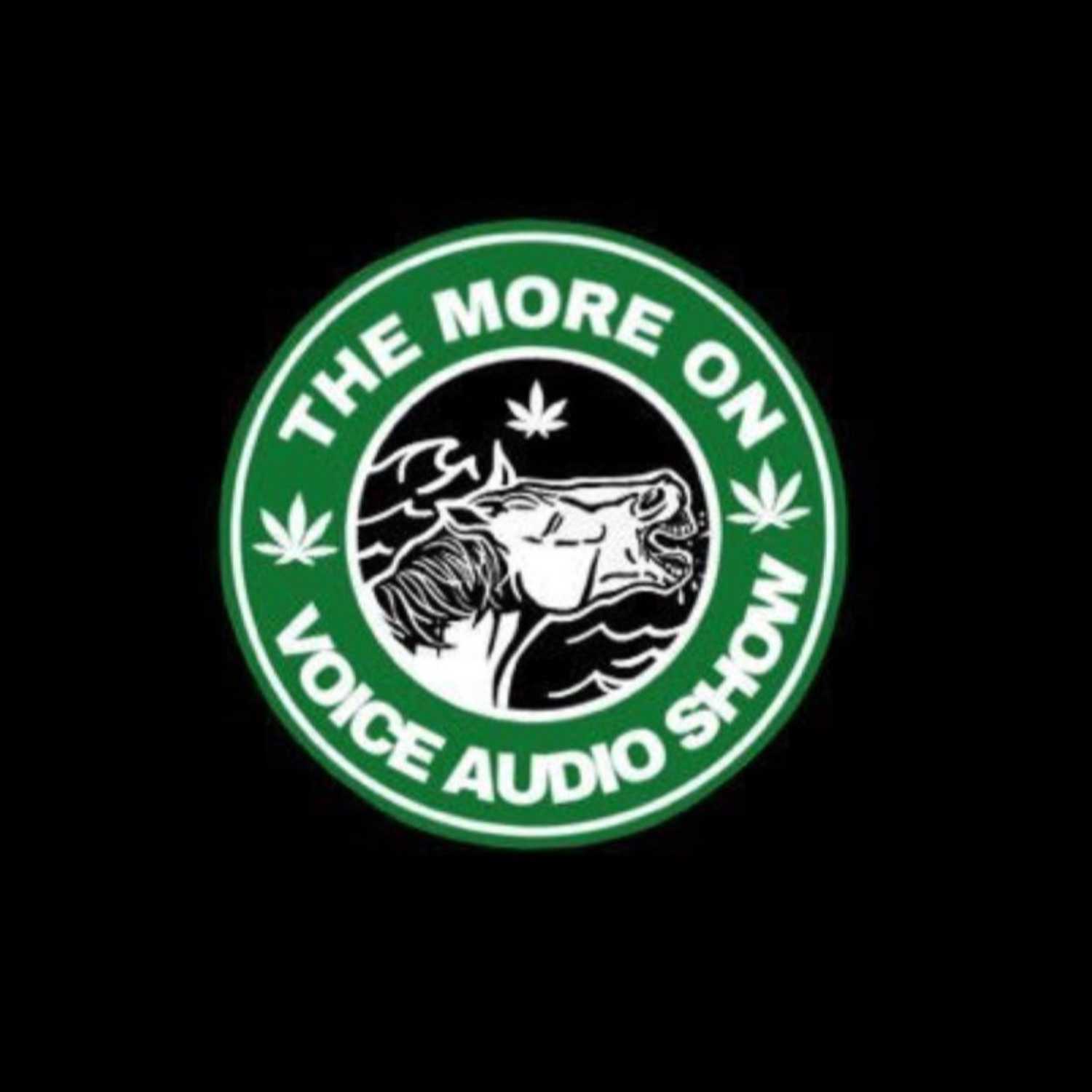 The More On Voice Audio Show: Episode 22 (Sammy Sock) episode artwork