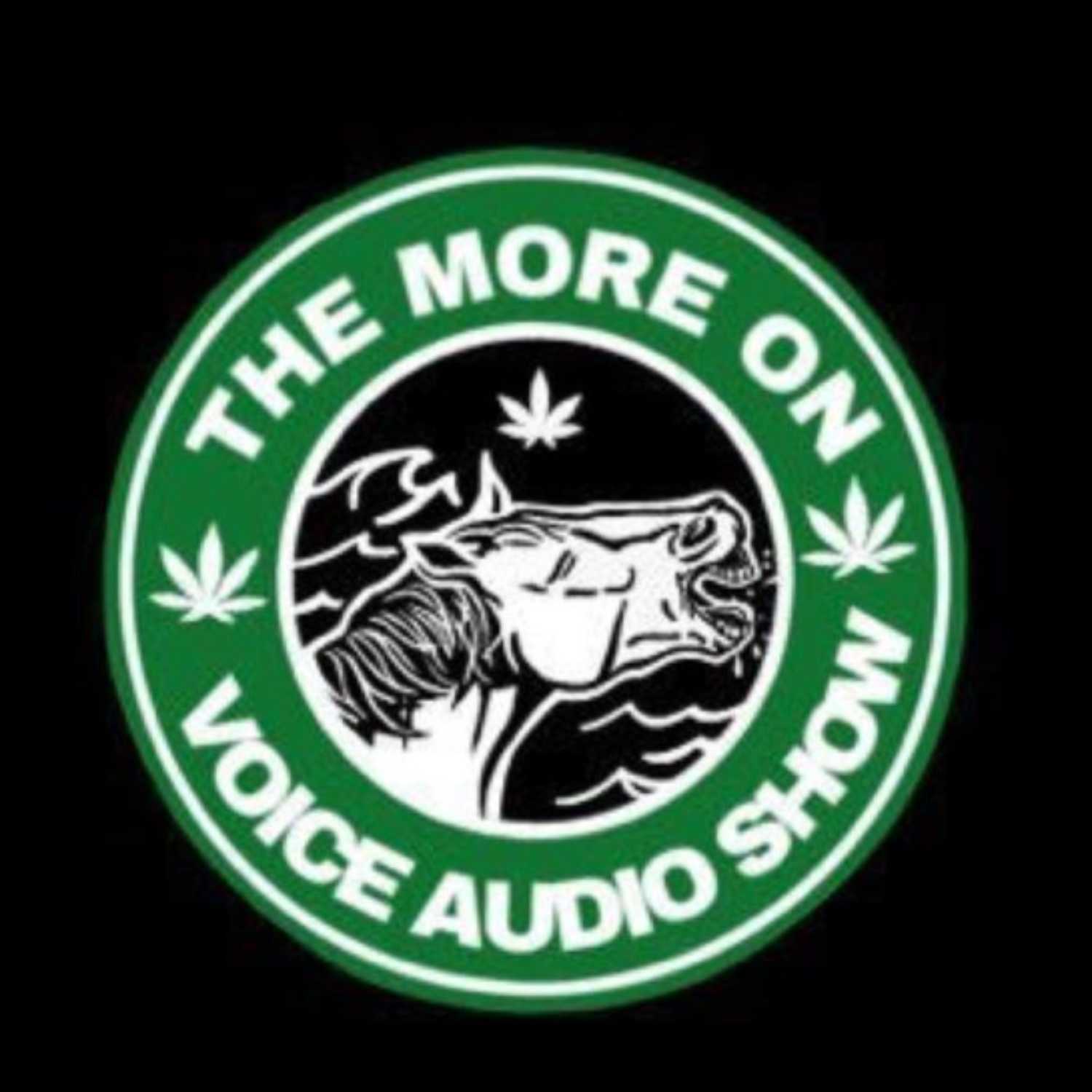 The More On Voice Audio Show: Episode 24 (Jalen/ Hard Headed University) episode artwork