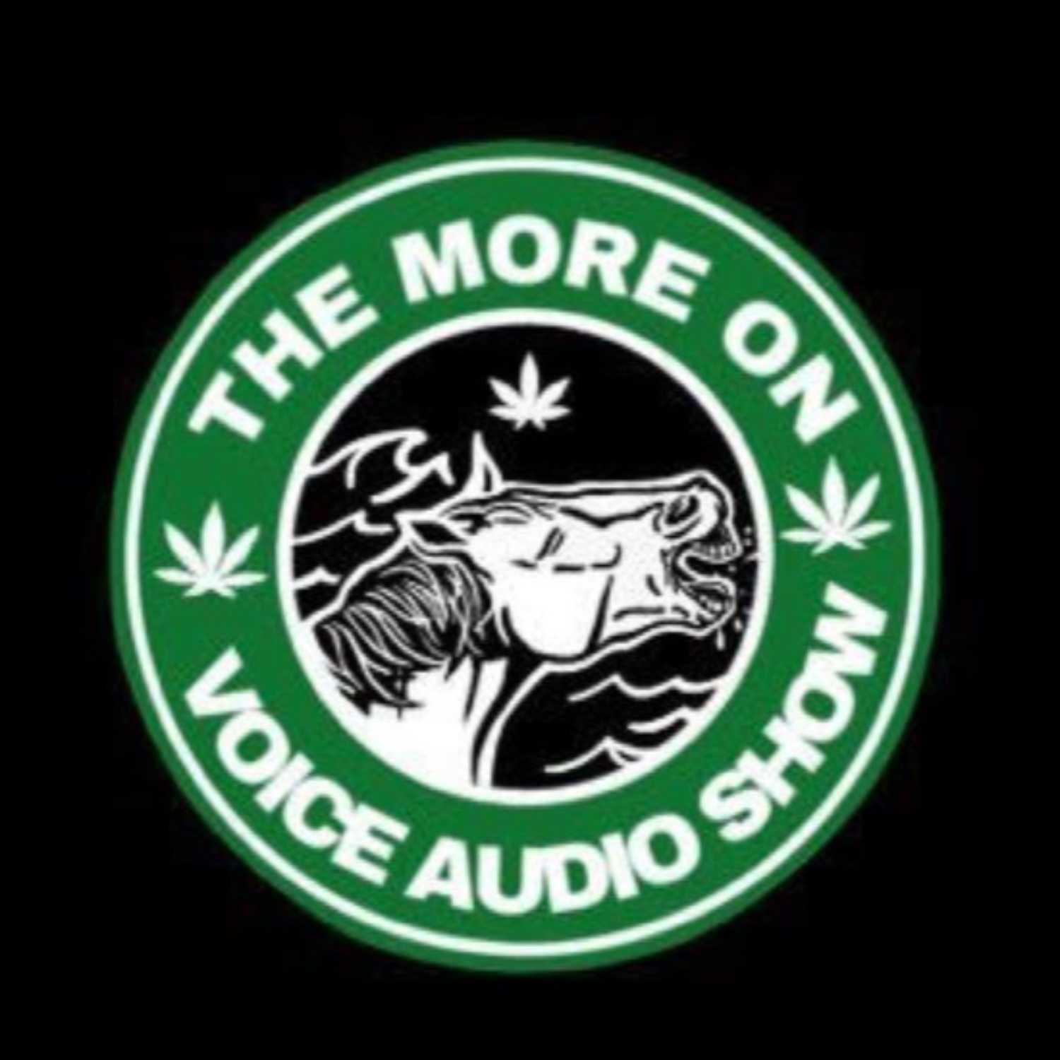 The More On Voice Audio Show: Episode 25 (Chris Peterson) episode artwork