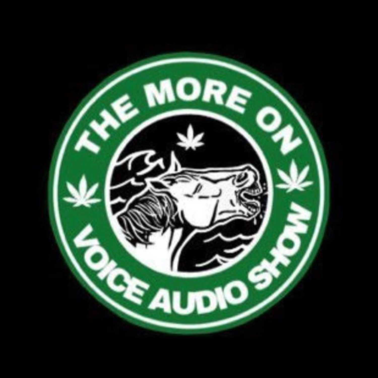 The More On Voice Audio Show: Episode 26 (Scott) episode artwork