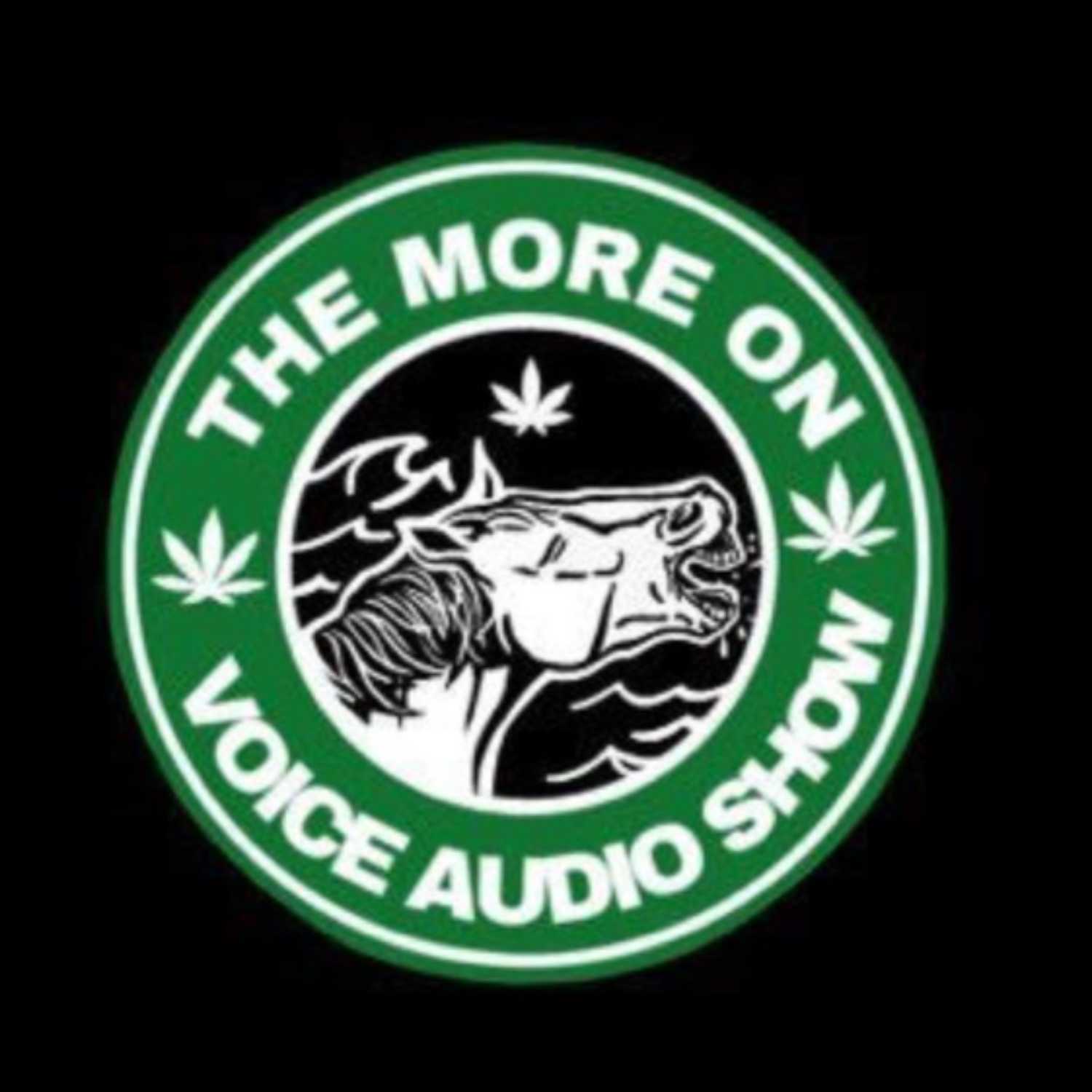 The More On Voice Audio Show: Episode 27 (Andy and Ryan) episode artwork