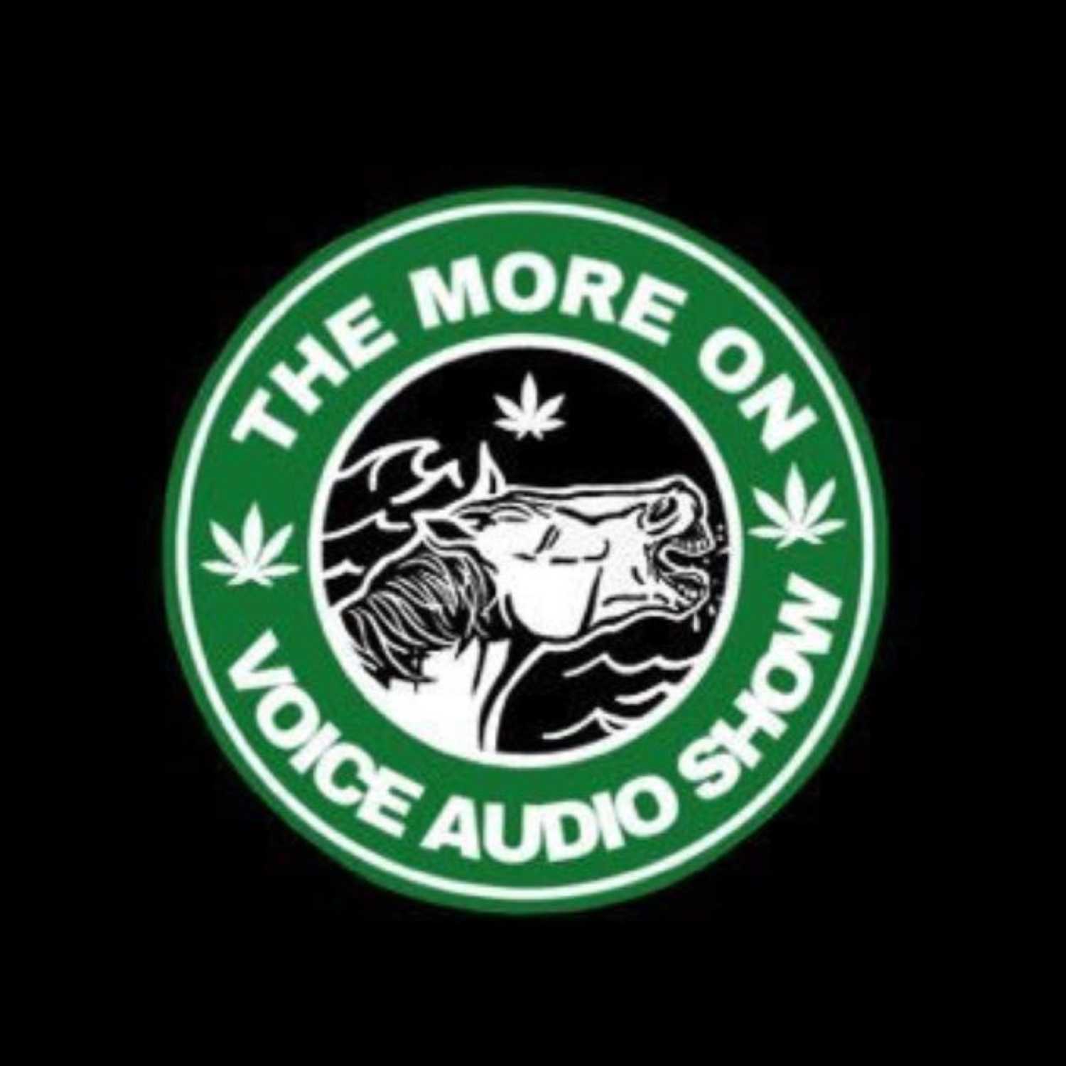 The More on Voice Audio Show: Episode 28 episode artwork