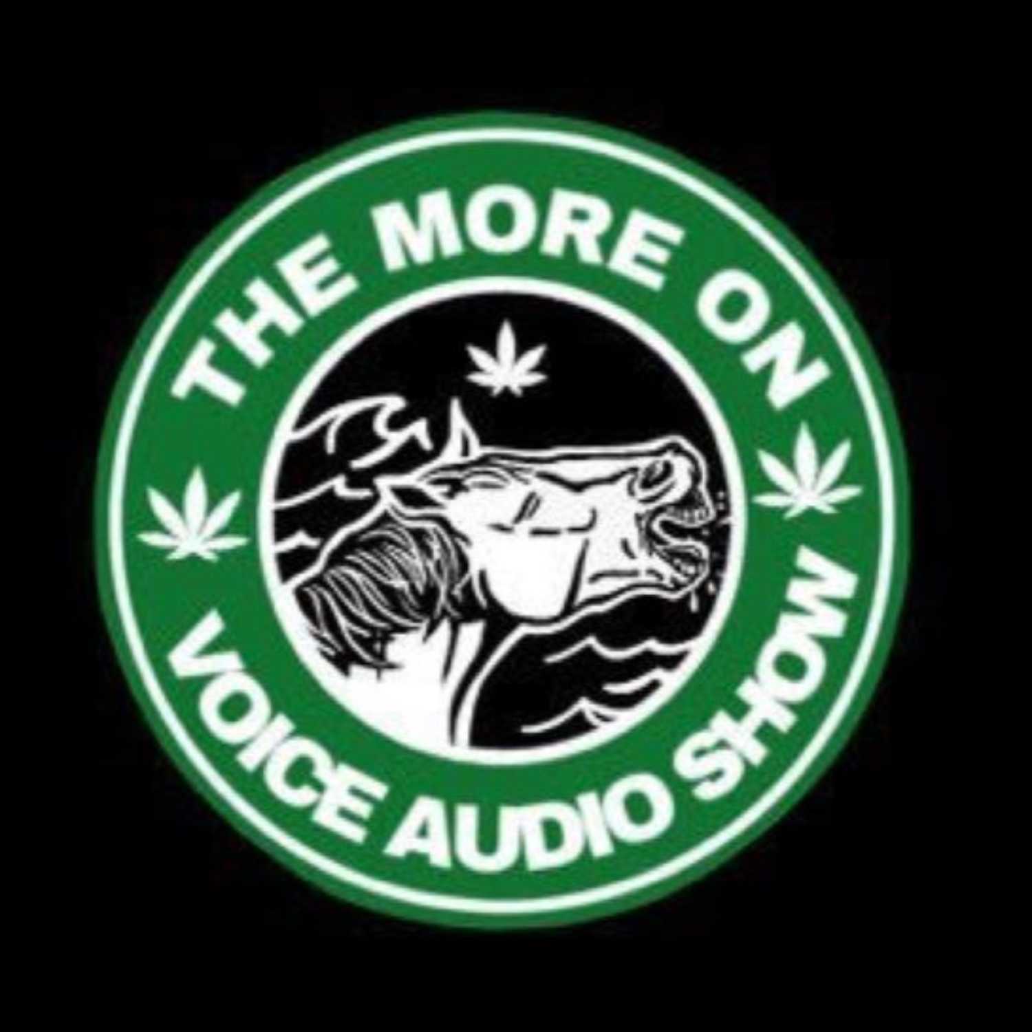 The More On Voice Audio Show: Episode 30 (Aaron Newbury) episode artwork