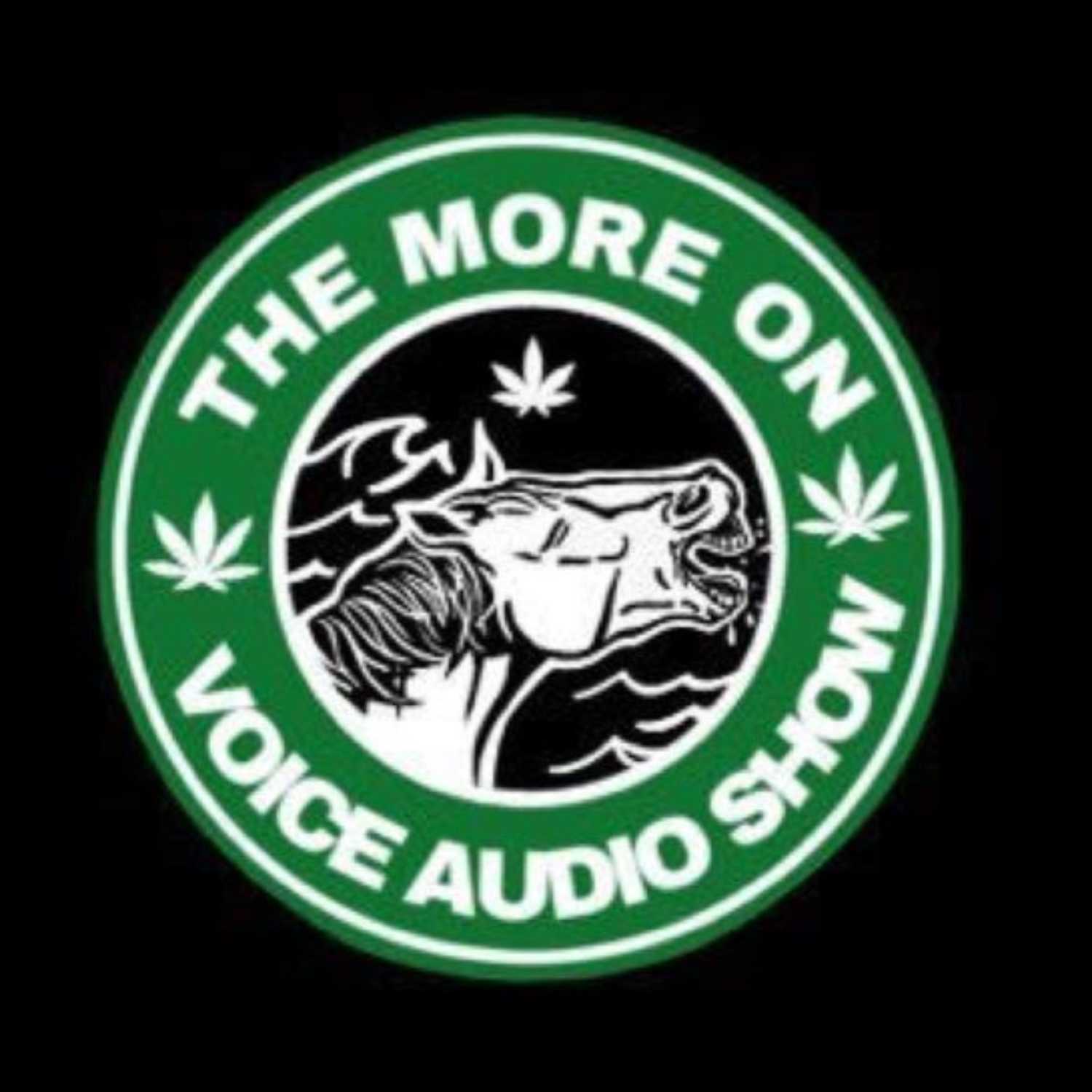 The More On Voice Audio Show: Episode 31 (Wes) episode artwork